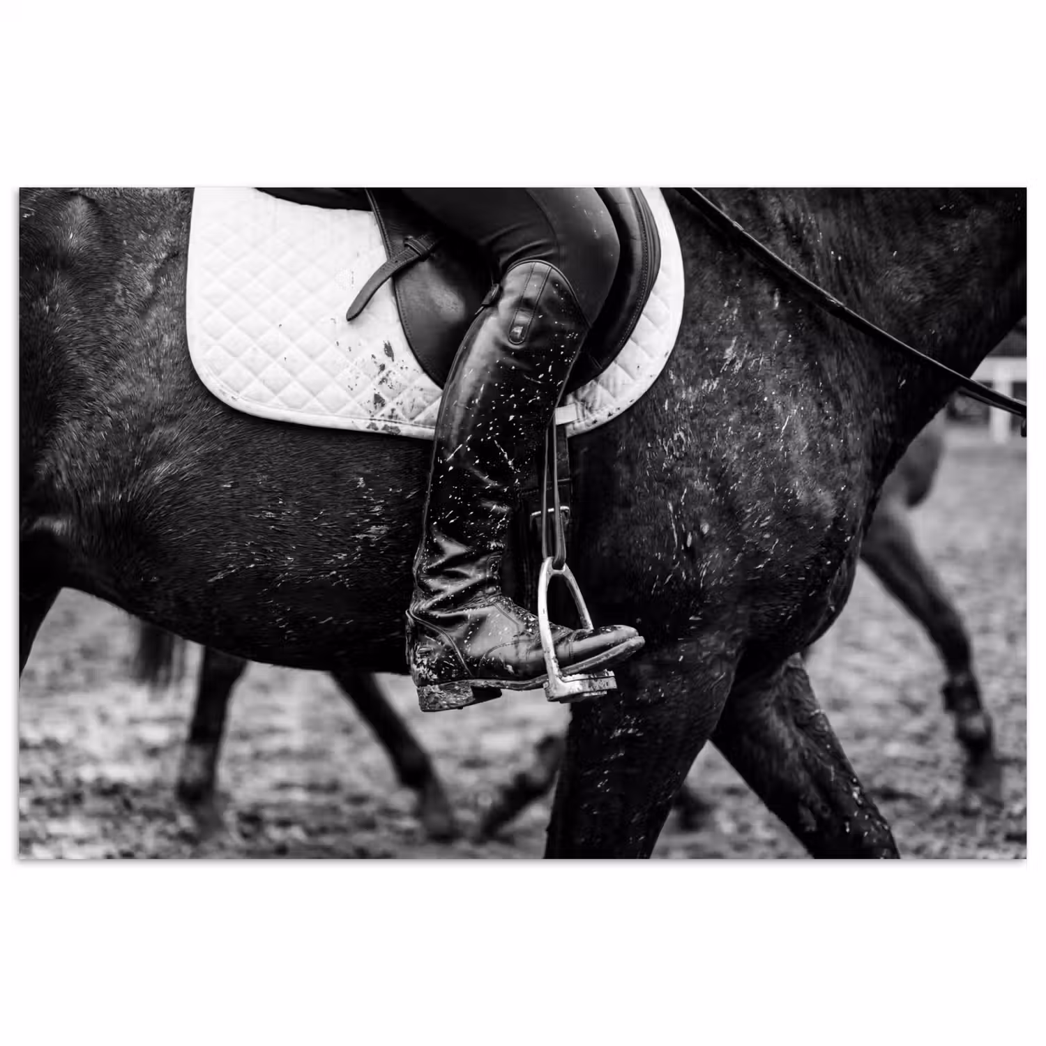 Paard - Sport - Zwart - Wit poster papier klein -3d