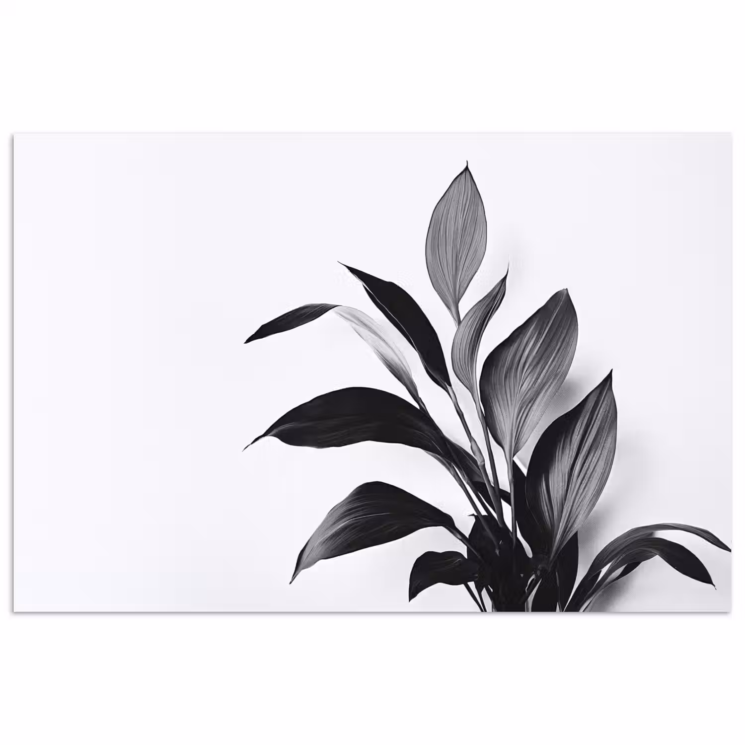 Plant - Bladeren - Minimalistisch - Zwart poster papier klein -3d