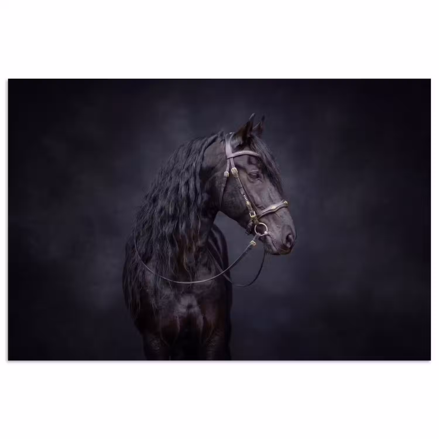 Portret - Paard - Donker poster papier klein -3d