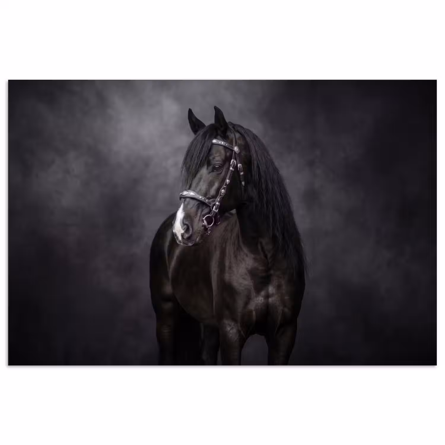 Portret - Paard - Zwart poster papier klein -3d