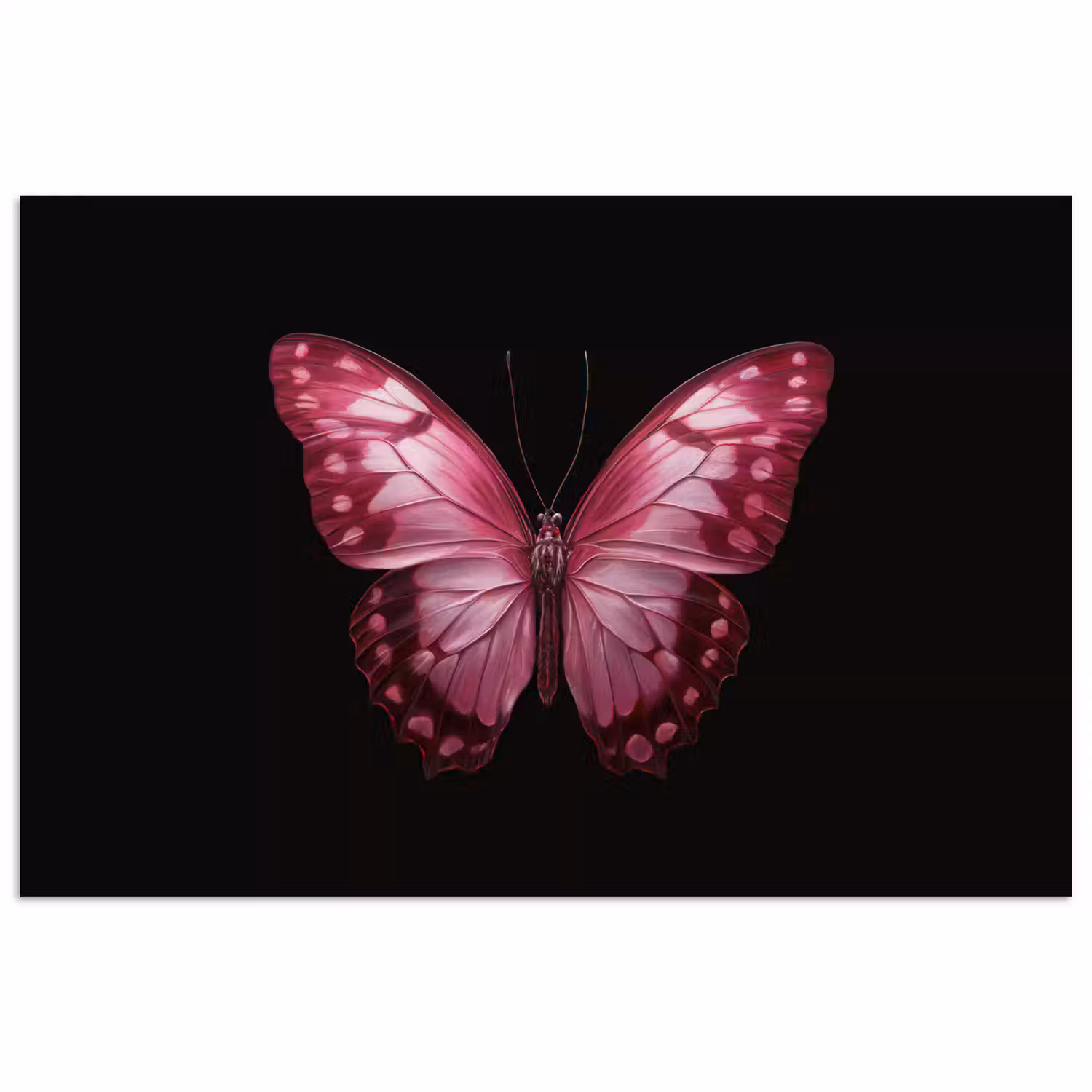 Vlinder - Fuchsia - Grafisch poster papier klein -3d