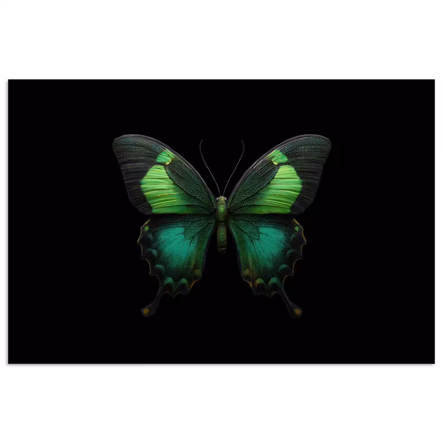 Vlinder - Groen - Opvallend poster papier klein -3d