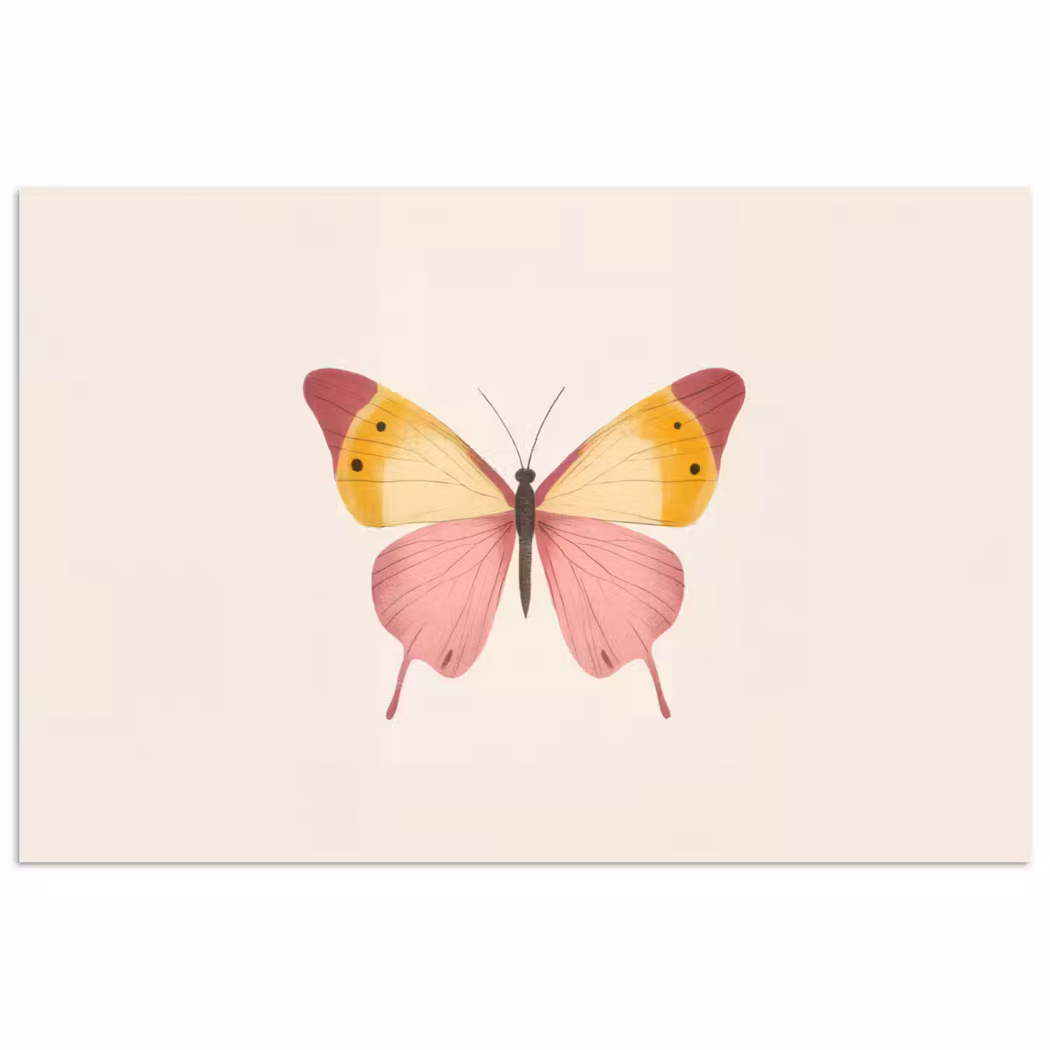 Vlinder - Illustratie - Roze poster papier klein -3d