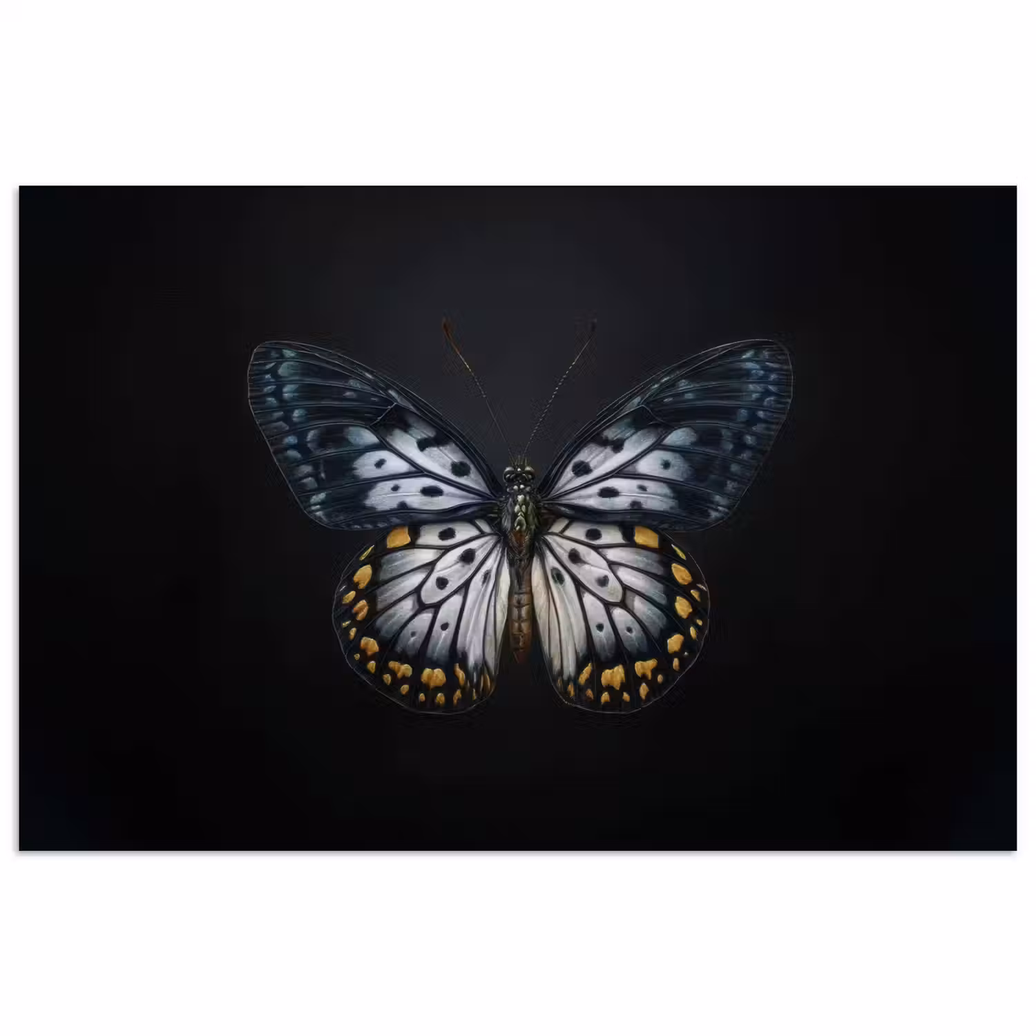 Vlinder - Monochroom - Balans poster papier klein -3d