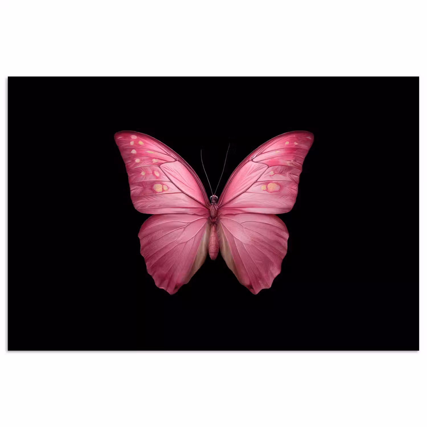 Vlinder - roze - Elegant poster papier klein -3d