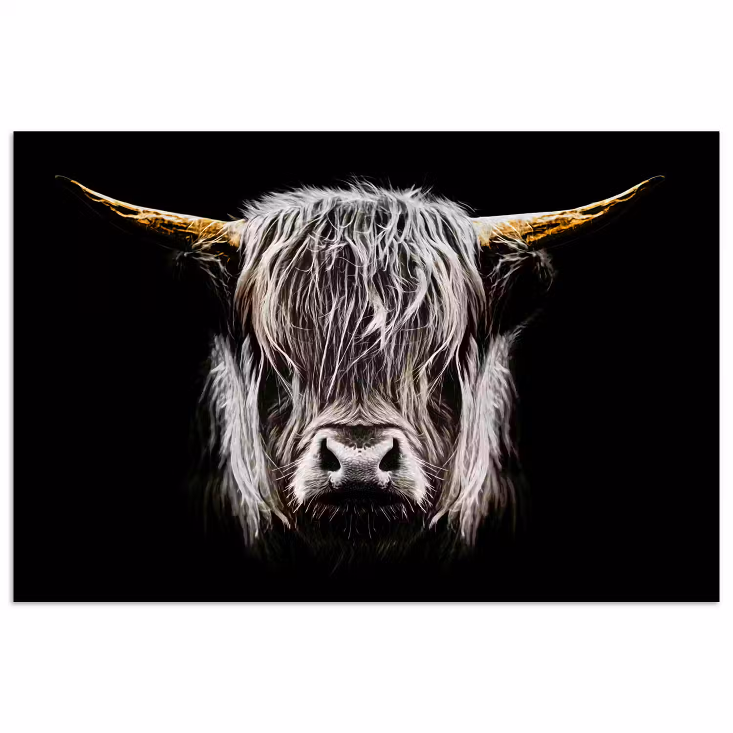 Schotse hooglander - Goud - Hoorns - Zwart wit - Koe - Dieren poster papier klein -3d