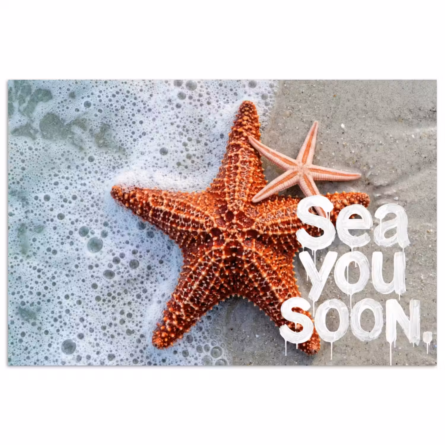 Sea you soon - Zeester - Zee poster papier klein -3d