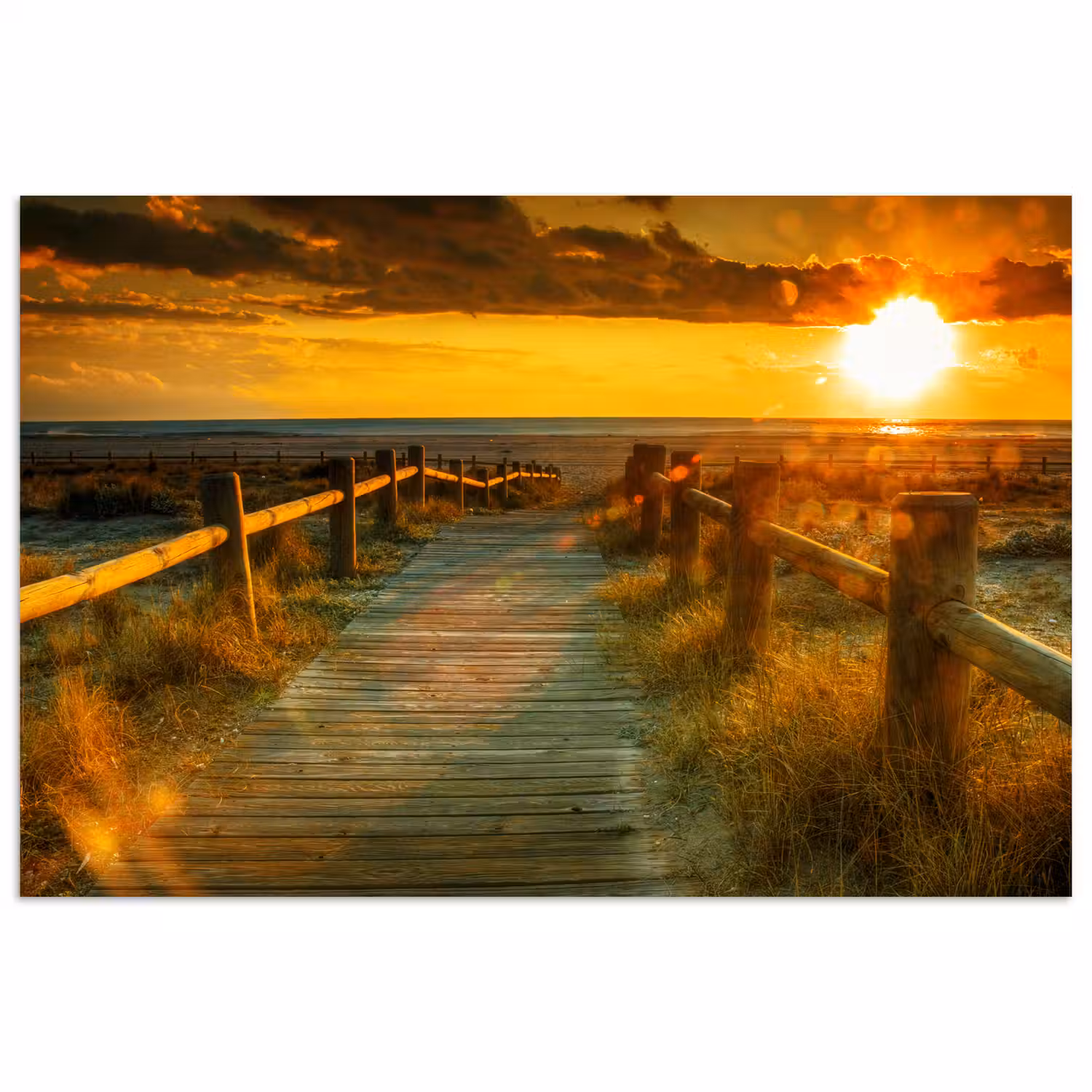 Zon - Strand - Duin - Horizon - Gras - Pad - Oranje poster papier klein -3d