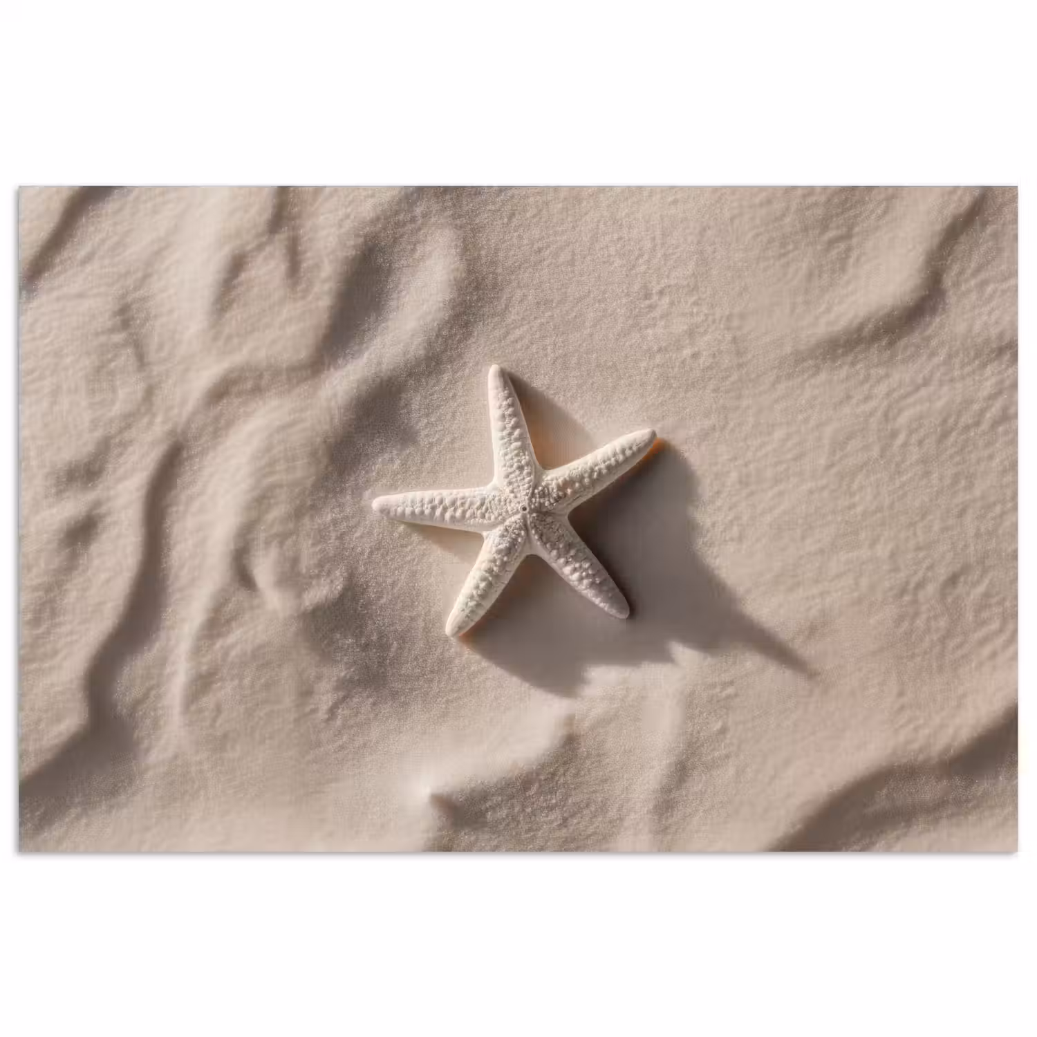 Strand - Zeester - Zand - Beige poster papier klein -3d