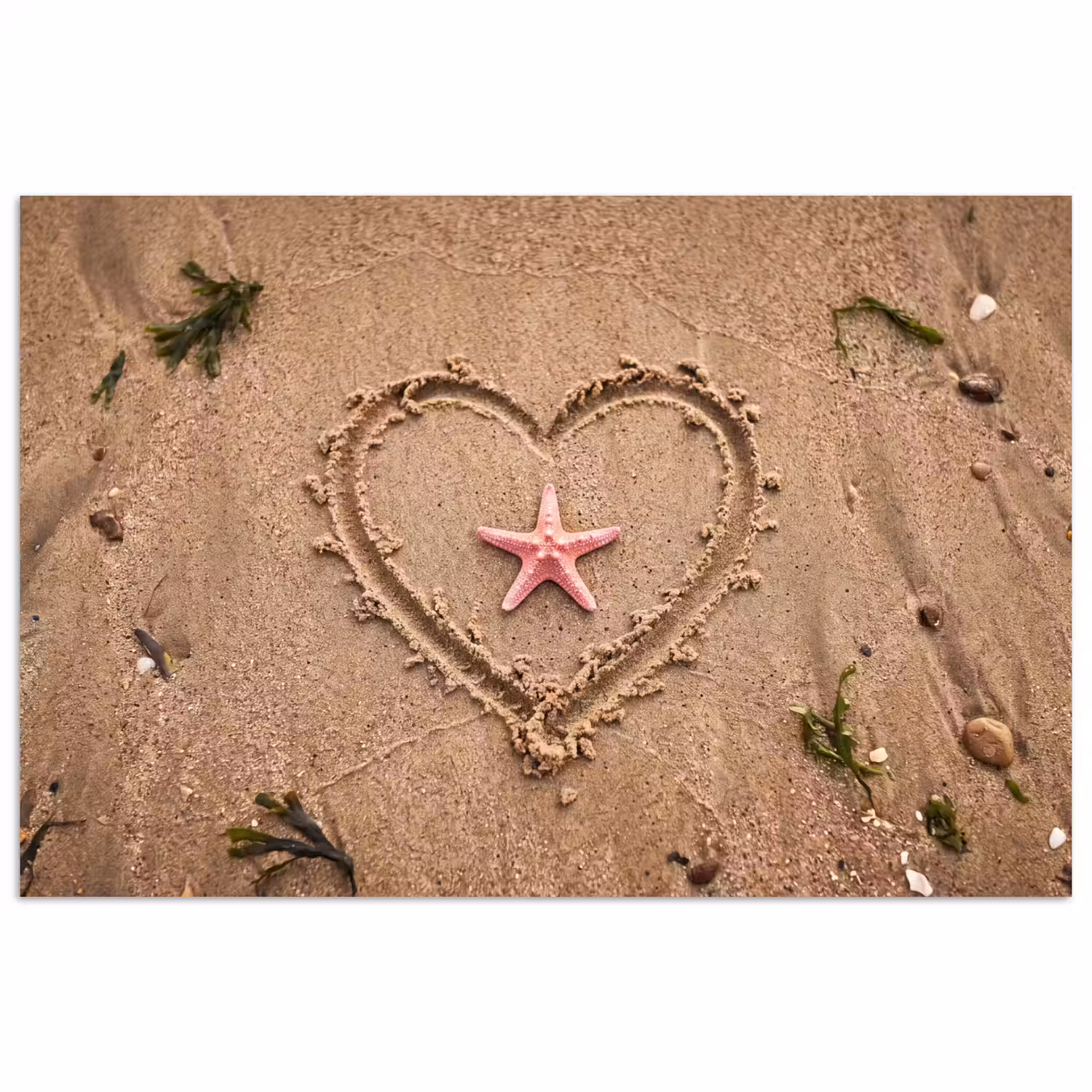 Dieren - Hart - Strand - Zand - Roze poster papier klein -3d