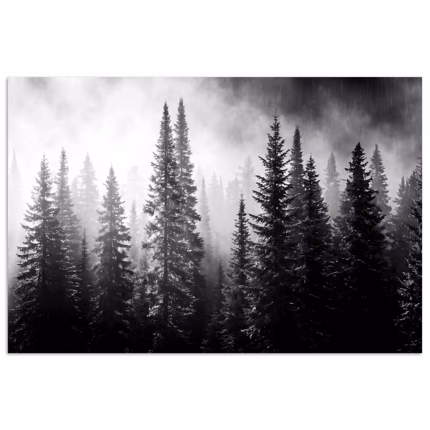 Bos - Mist - Winter - Monochroom - Natuur poster papier klein -3d
