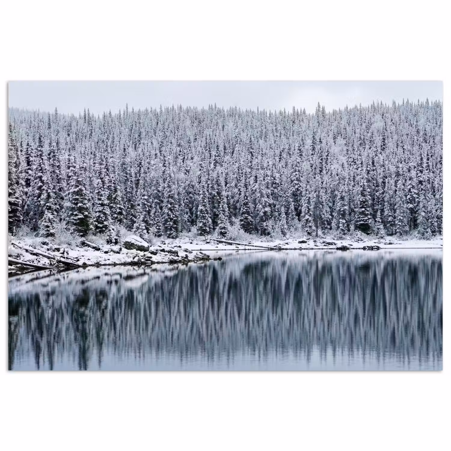 Bos - Reflectie - Meer - Winter - Serene poster papier klein -3d