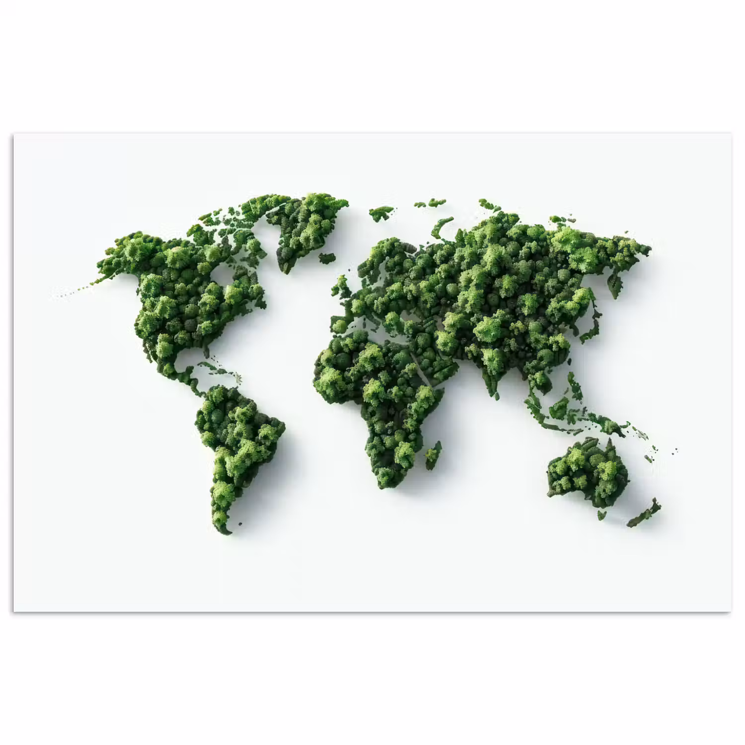 Wereldkaart - Groene bomen poster papier klein -3d
