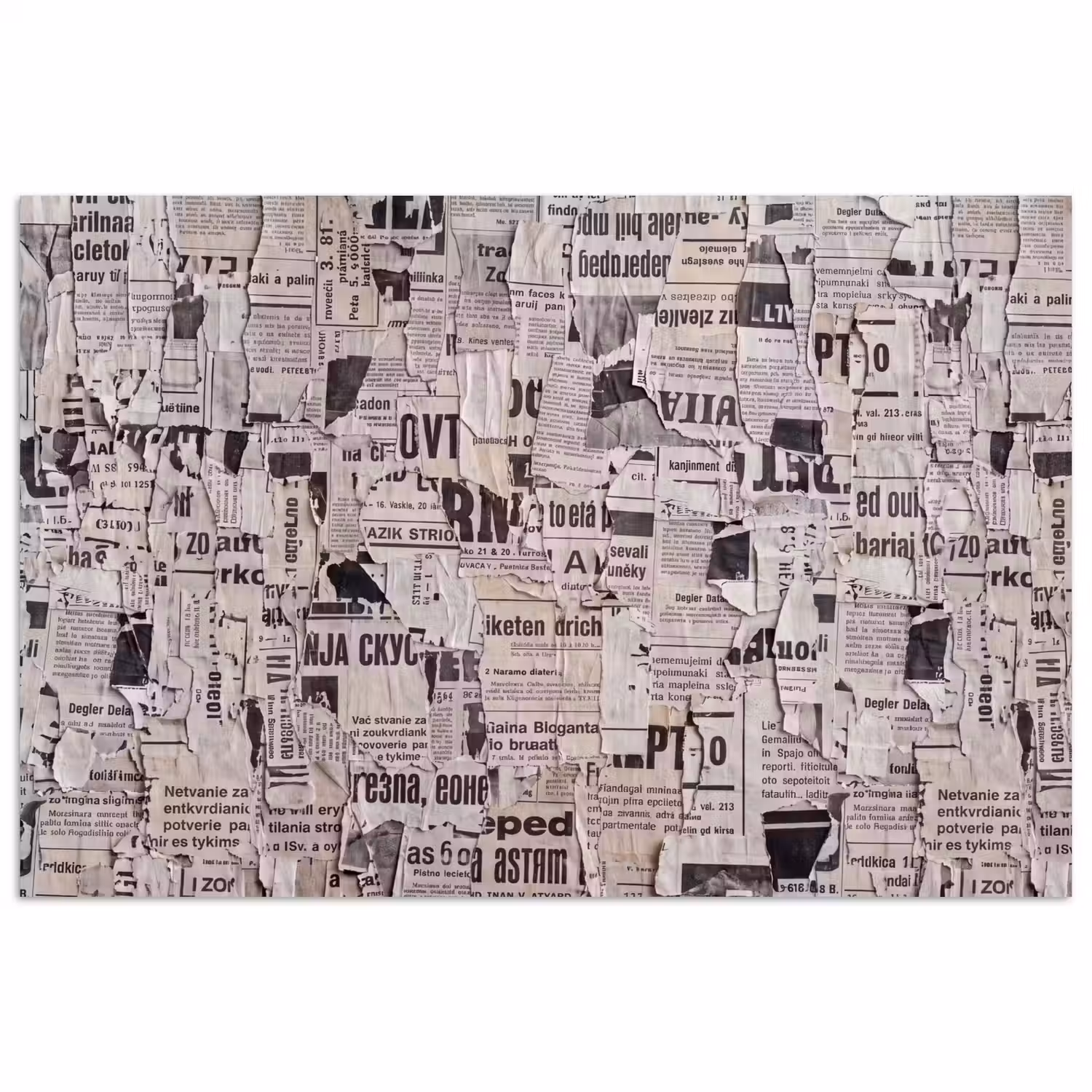 Krant - Gescheurd - Textuur - Abstract - Zwart-wit poster papier klein -3d