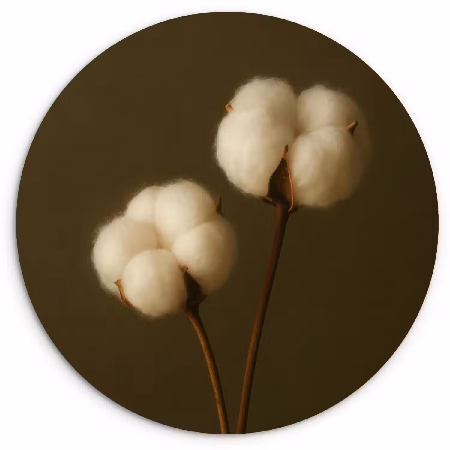 Takken - Katoen - Wit - Bollen Wandcirkel kunststof plaat 5mm dik klein -3d