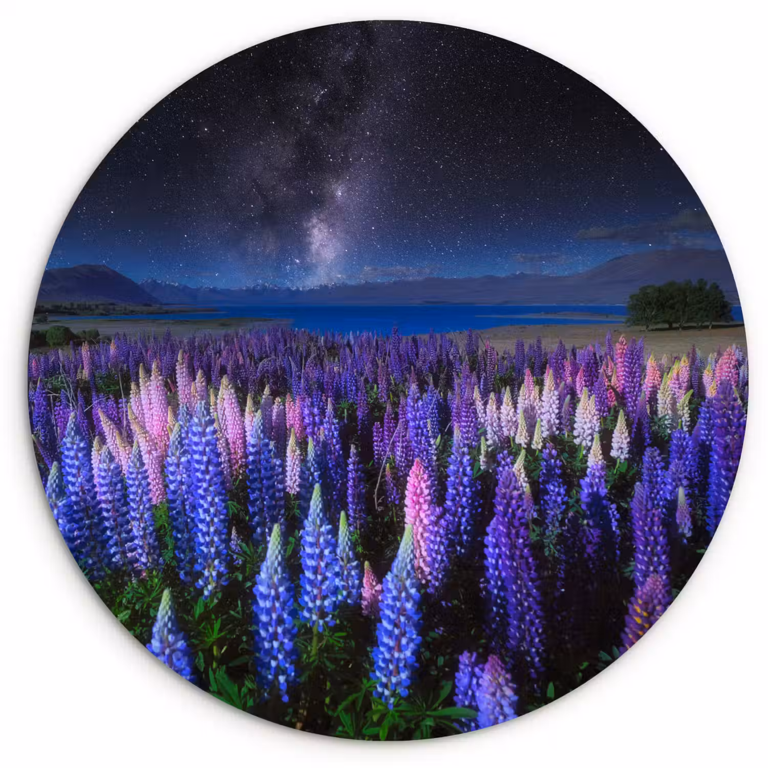 Bloemen - Nacht - Lupine - Sterrenhemel - Paars - Natuur Wandcirkel kunststof plaat 5mm dik klein -3d