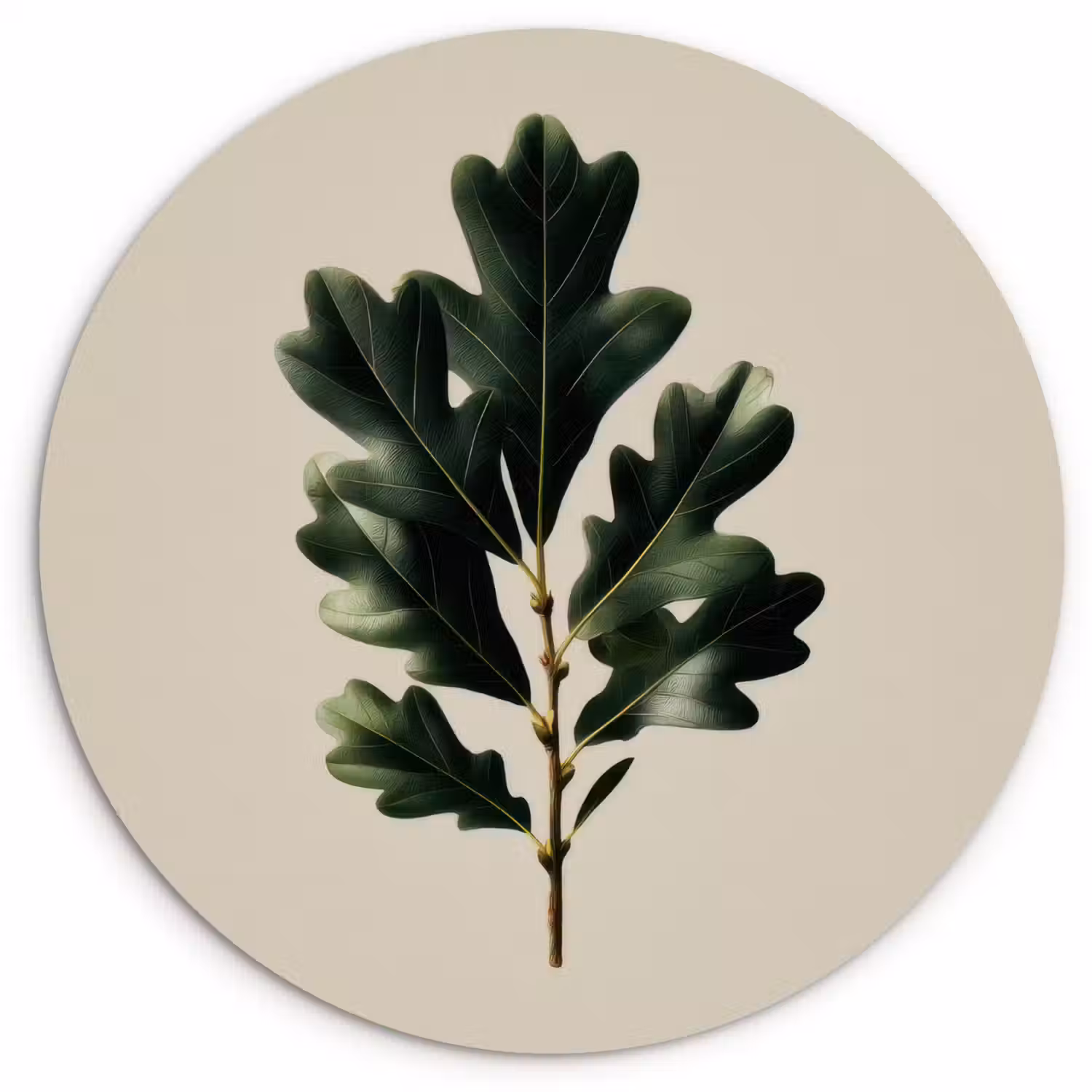 Eikenbladeren - Beige - Groen - Golvende randen Wandcirkel kunststof plaat 5mm dik klein -3d