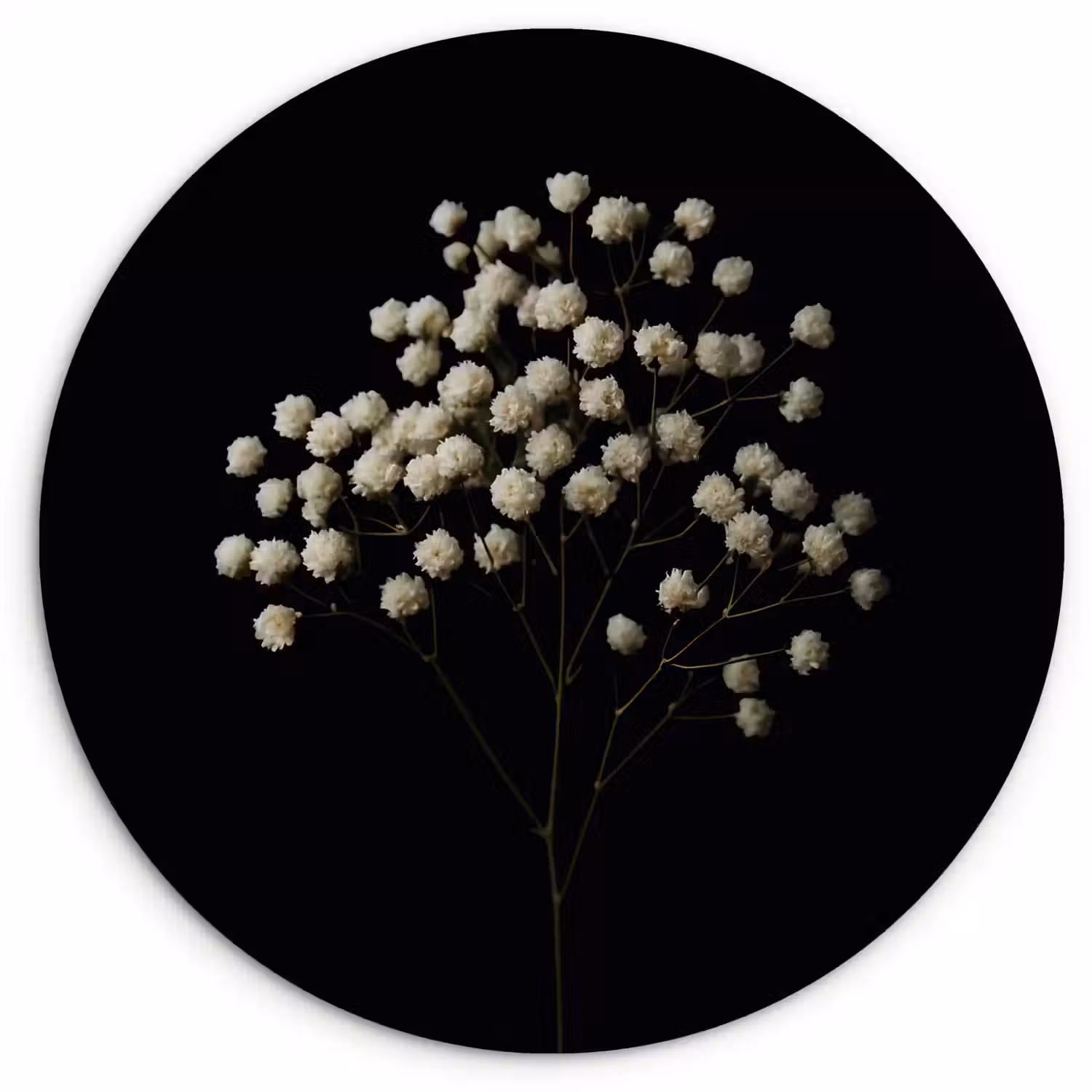 Gipskruid - Bloemetjes - Wit - Minimalistisch Wandcirkel kunststof plaat 5mm dik klein -3d