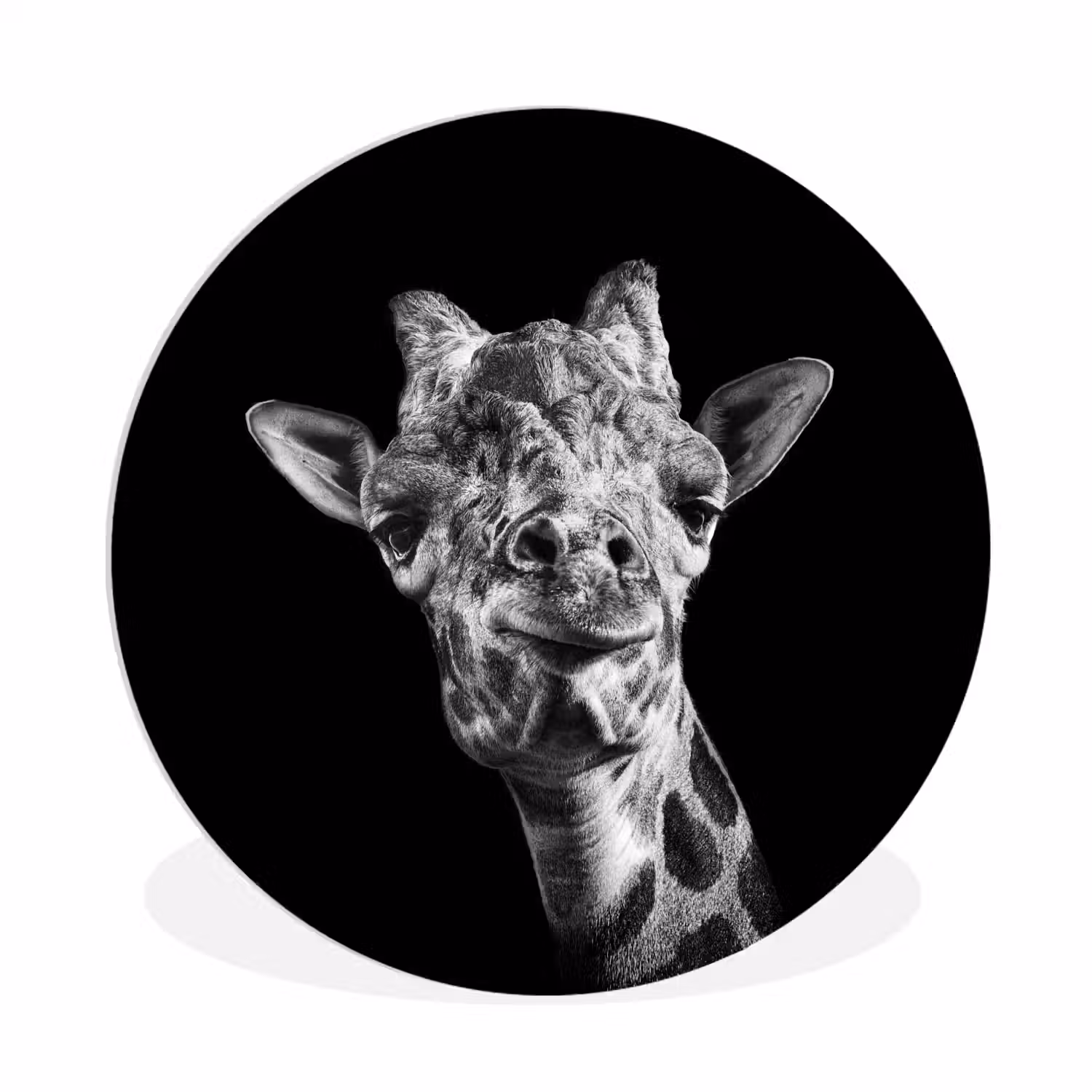 Giraffe - Dier - Zwart - Wit Wandcirkel kunststof plaat 5mm dik klein -3d