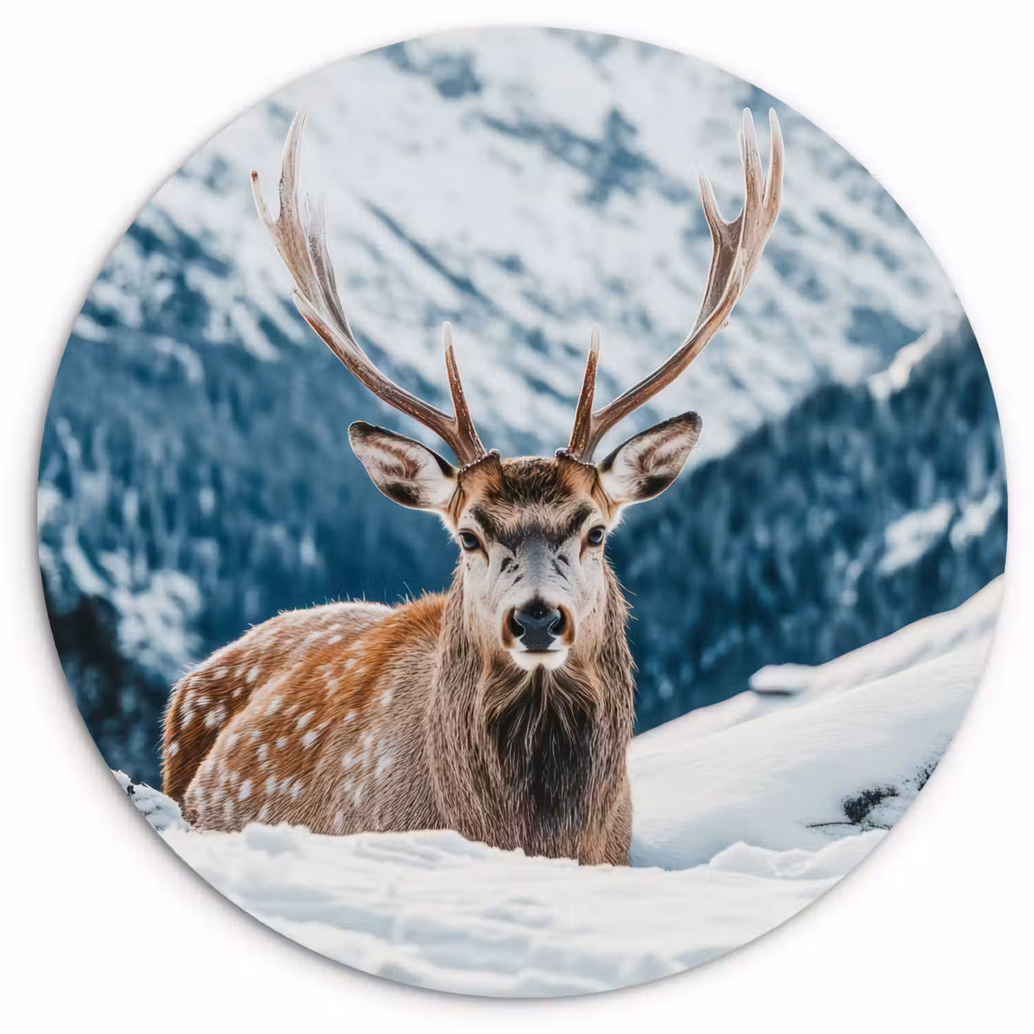 Hert - Landschap - Winter - Natuur - Dieren - Bergen Wandcirkel kunststof plaat 5mm dik klein -3d