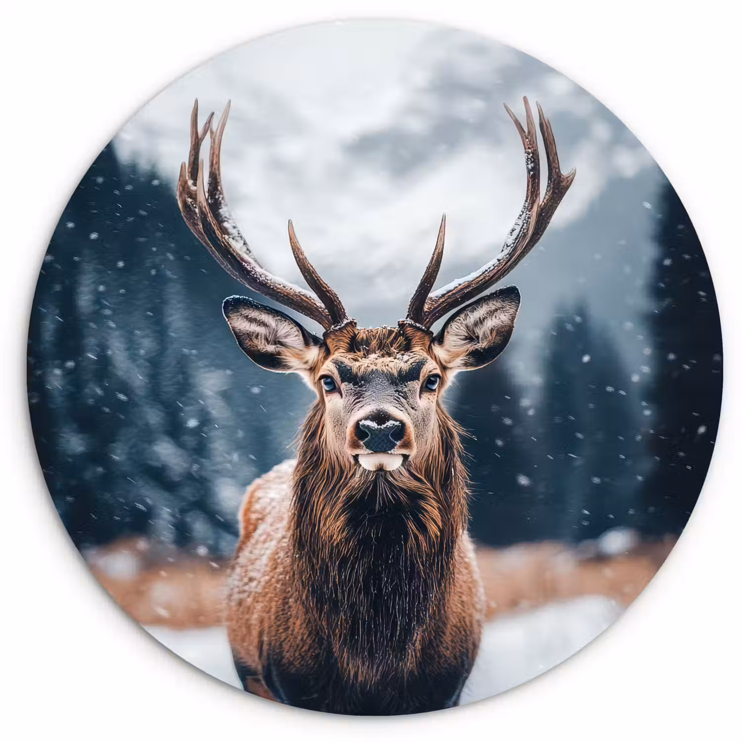 Hert - Dieren - Landschap - Winter - Sneeuw Wandcirkel kunststof plaat 5mm dik klein -3d