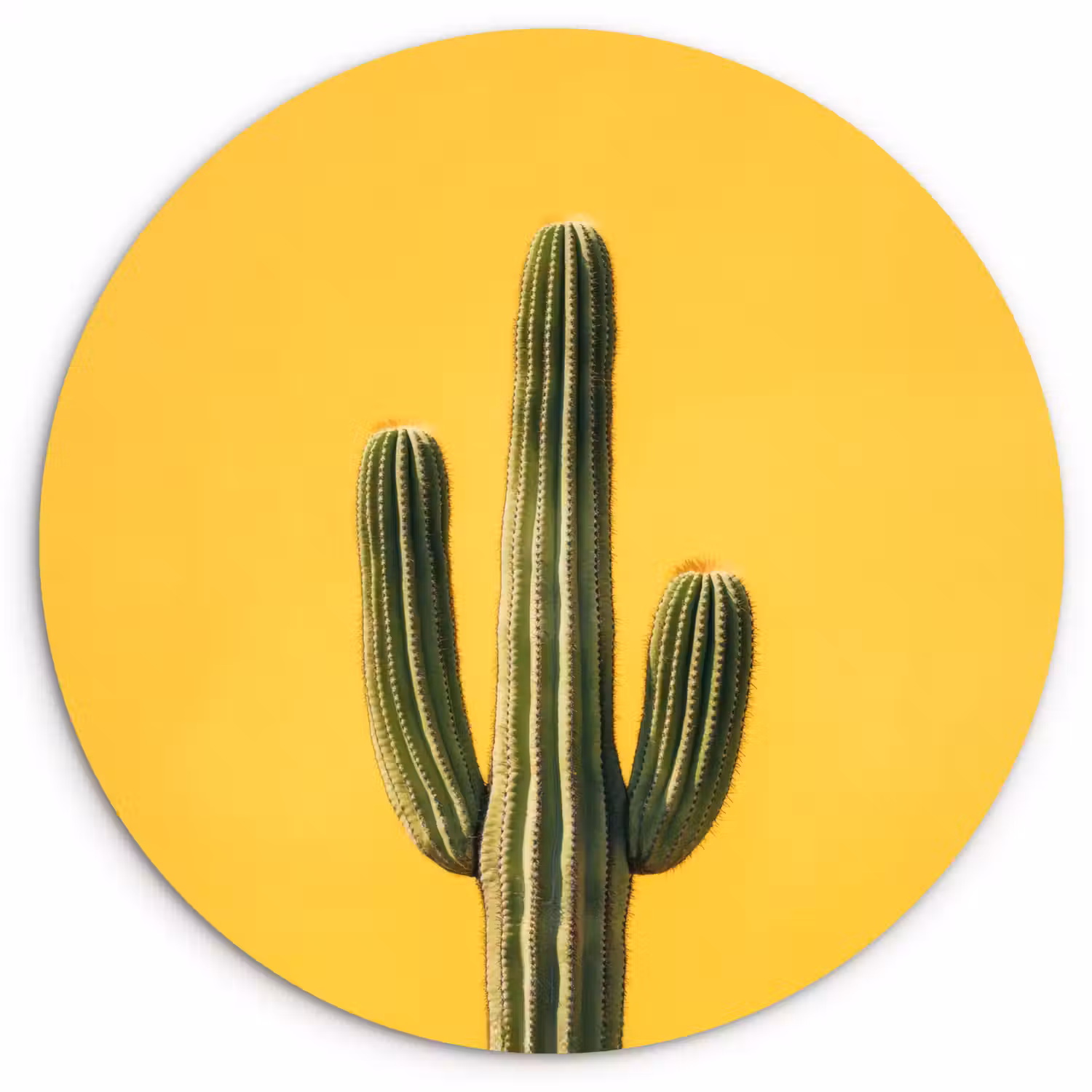 Cactus - Groen - Minimalistisch Wandcirkel kunststof plaat 5mm dik klein -3d