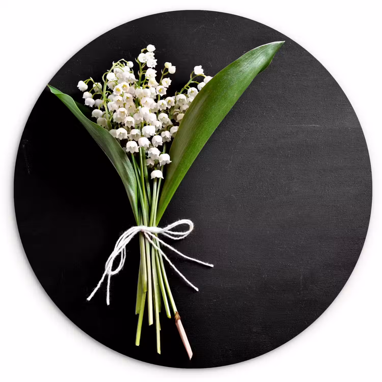 Lelietjes van dalen - Bloemen - Stilleven - Flora Wandcirkel kunststof plaat 5mm dik klein -3d