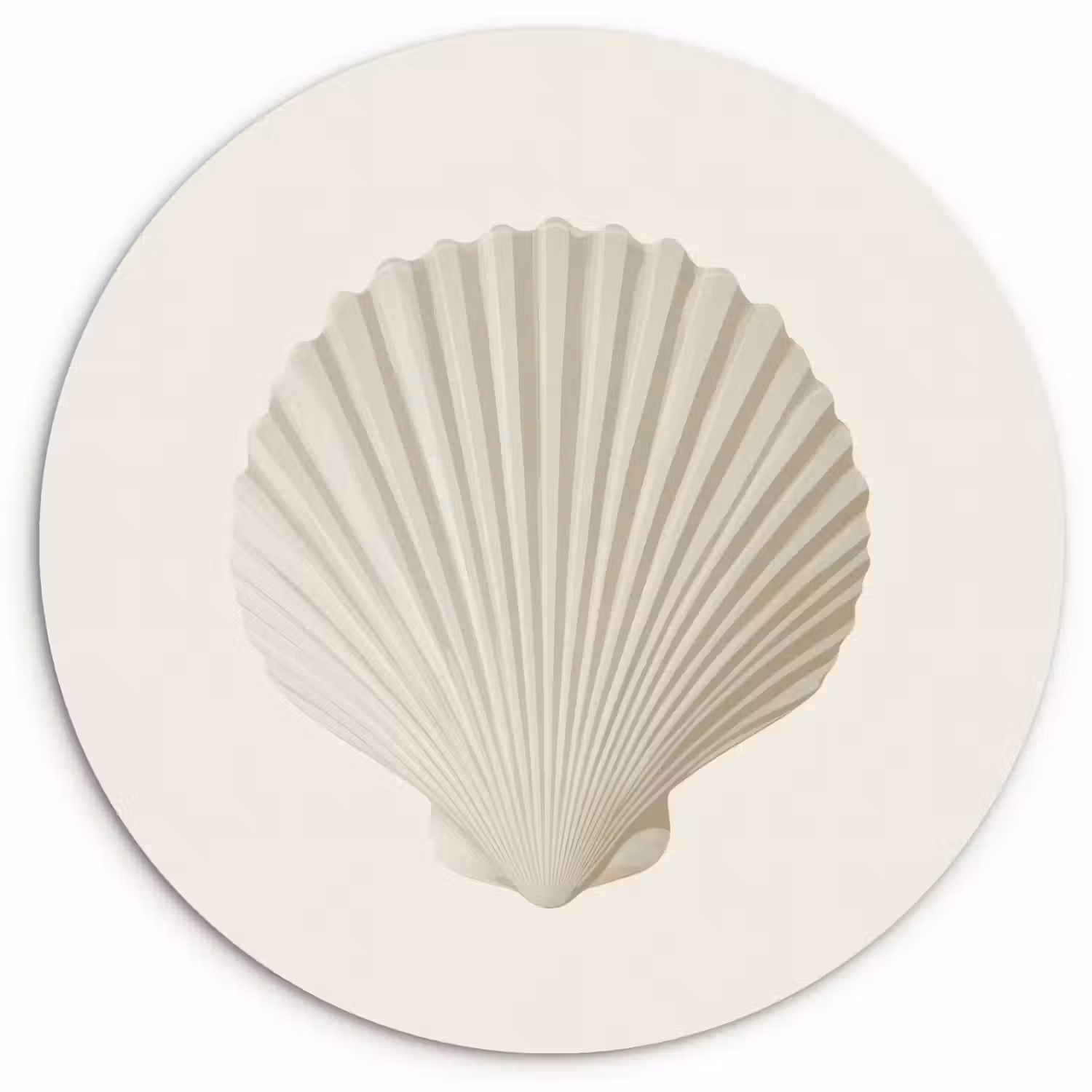 Schelp - Minimalistisch - Wit Wandcirkel kunststof plaat 5mm dik klein -3d