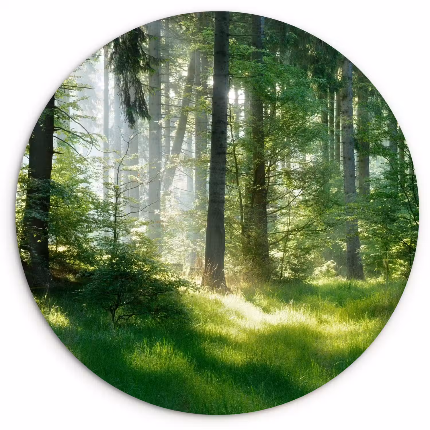 Natuur - Bomen - Bos - Groen - Zon - Gras - Planten Wandcirkel kunststof plaat 5mm dik klein -3d