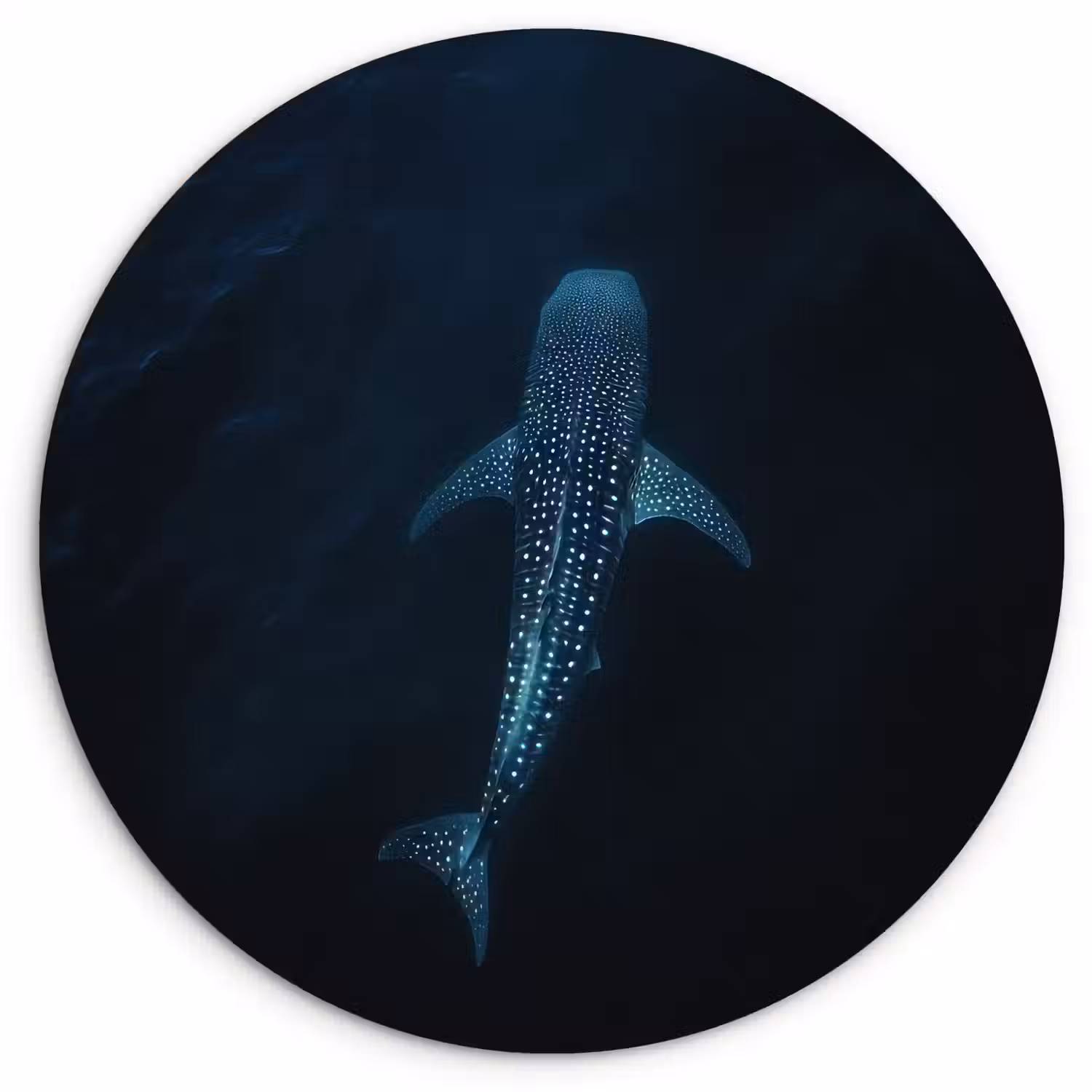 Oceaan - Walvishaai - Donkerblauw - Vlekken Wandcirkel kunststof plaat 5mm dik klein -3d
