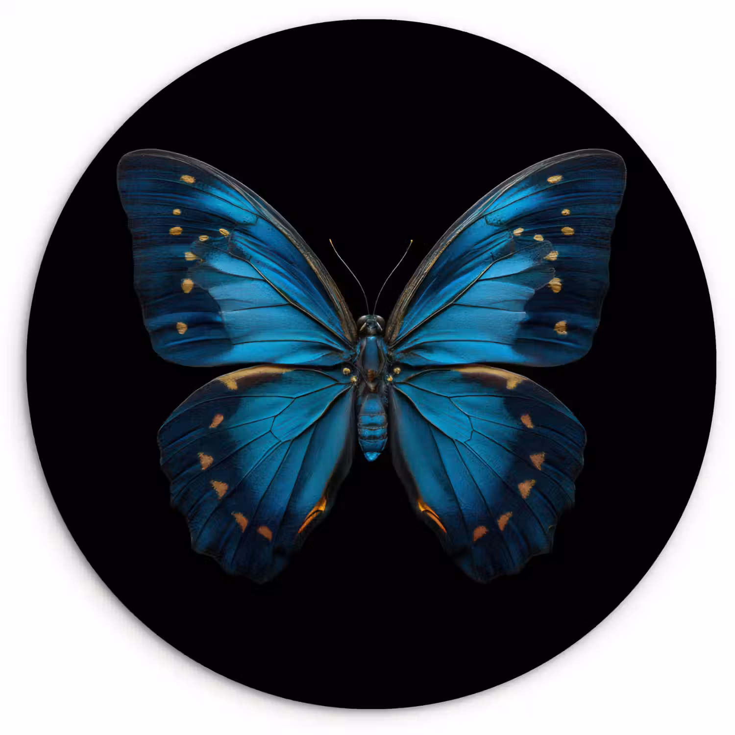 Vlinder - Blauw - Contrast Wandcirkel kunststof plaat 5mm dik klein -3d