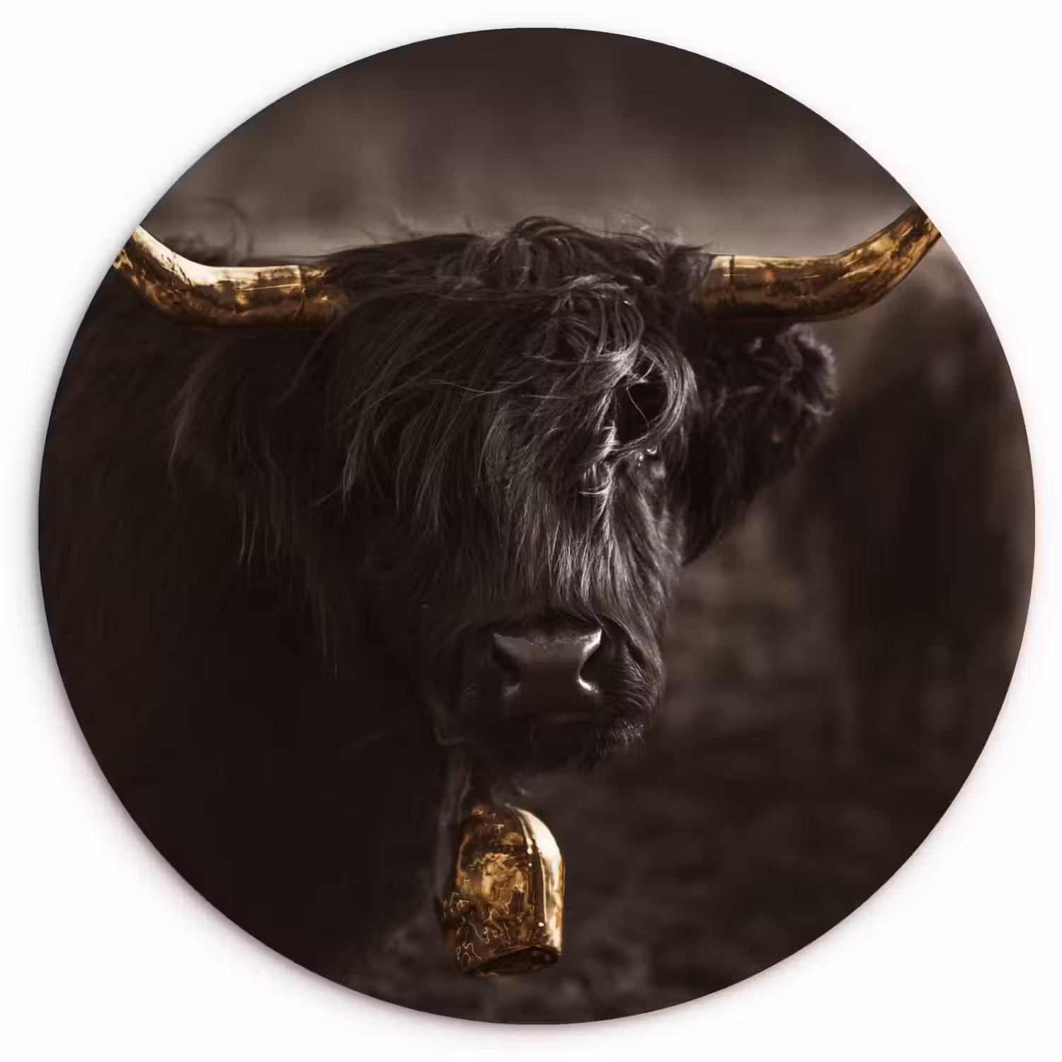 Schotse hooglander - Goud - Koebel - Hoorns - Dieren Wandcirkel kunststof plaat 5mm dik klein -3d