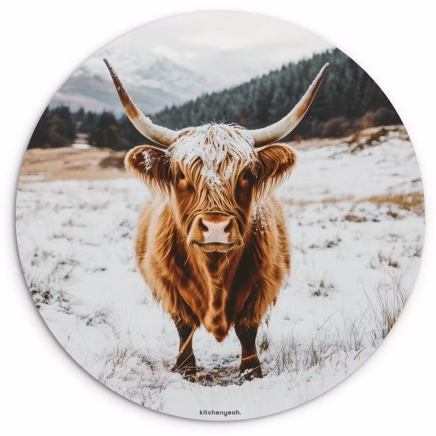 Schotse Hooglander - Sneeuw - Winter - Dieren Wandcirkel kunststof plaat 5mm dik klein -3d
