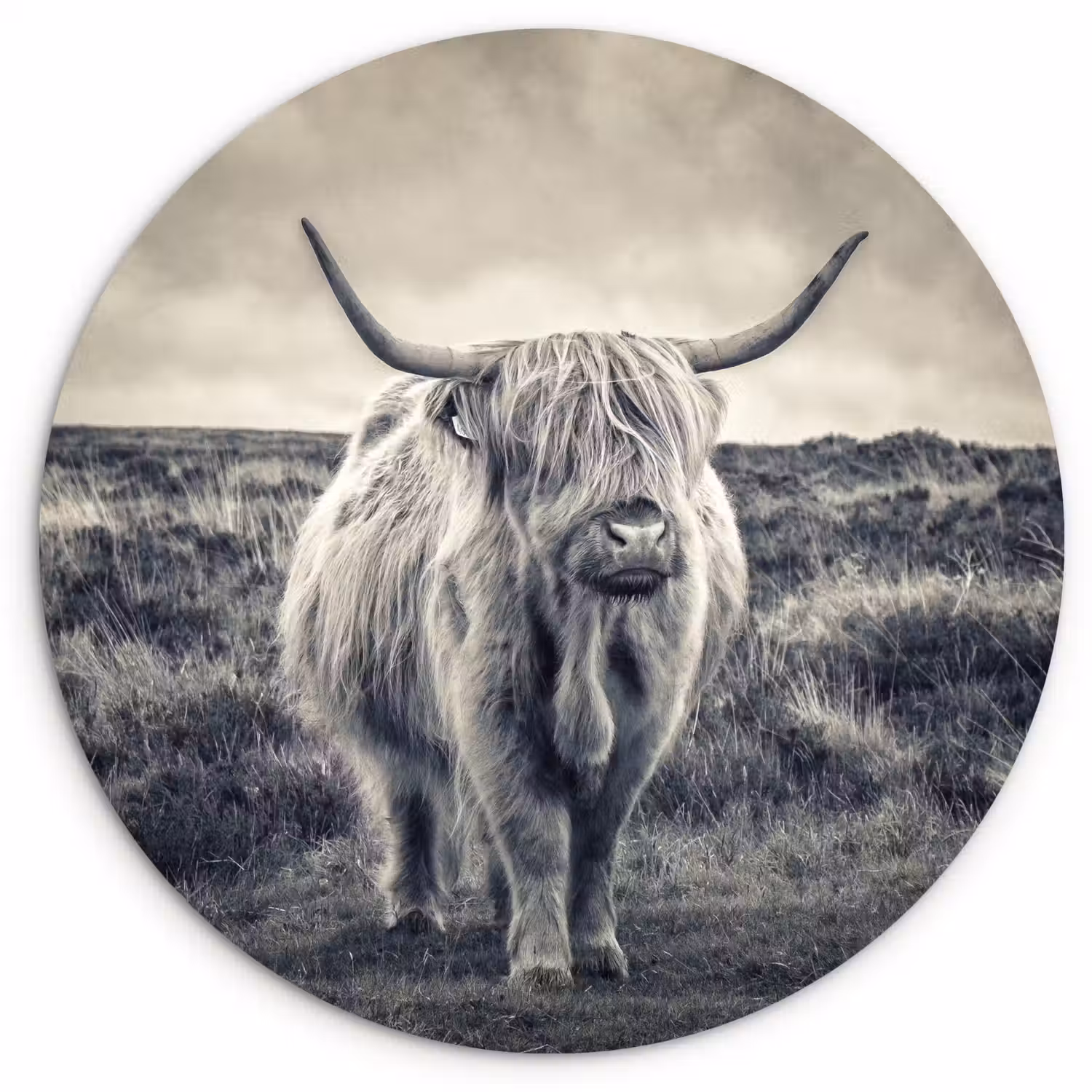 Schotse hooglander - Dieren - Wolken - Koe - Natuur Wandcirkel kunststof plaat 5mm dik klein -3d