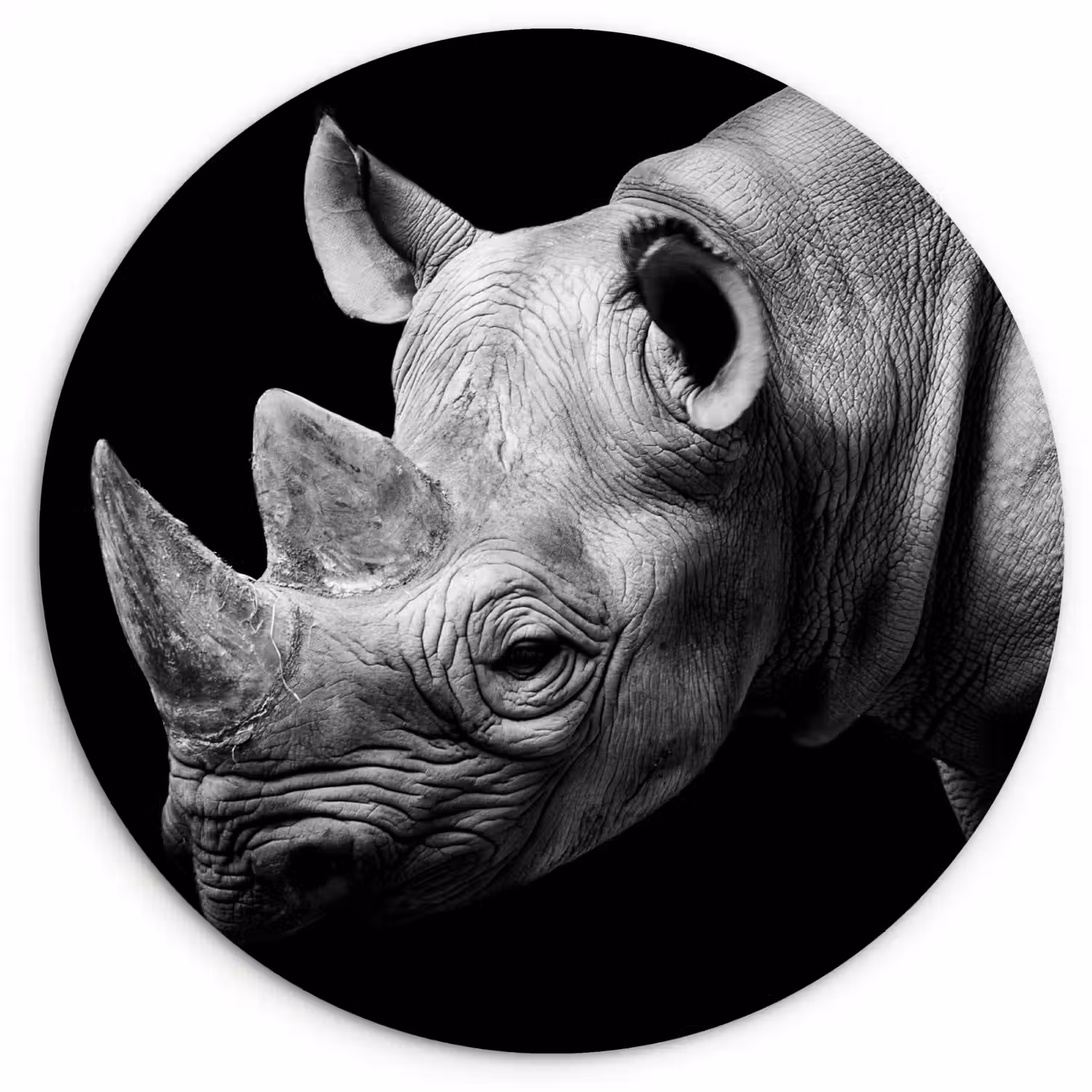 Dieren - Neushoorn - Zwart - Wit - Portret Wandcirkel kunststof plaat 5mm dik klein -3d