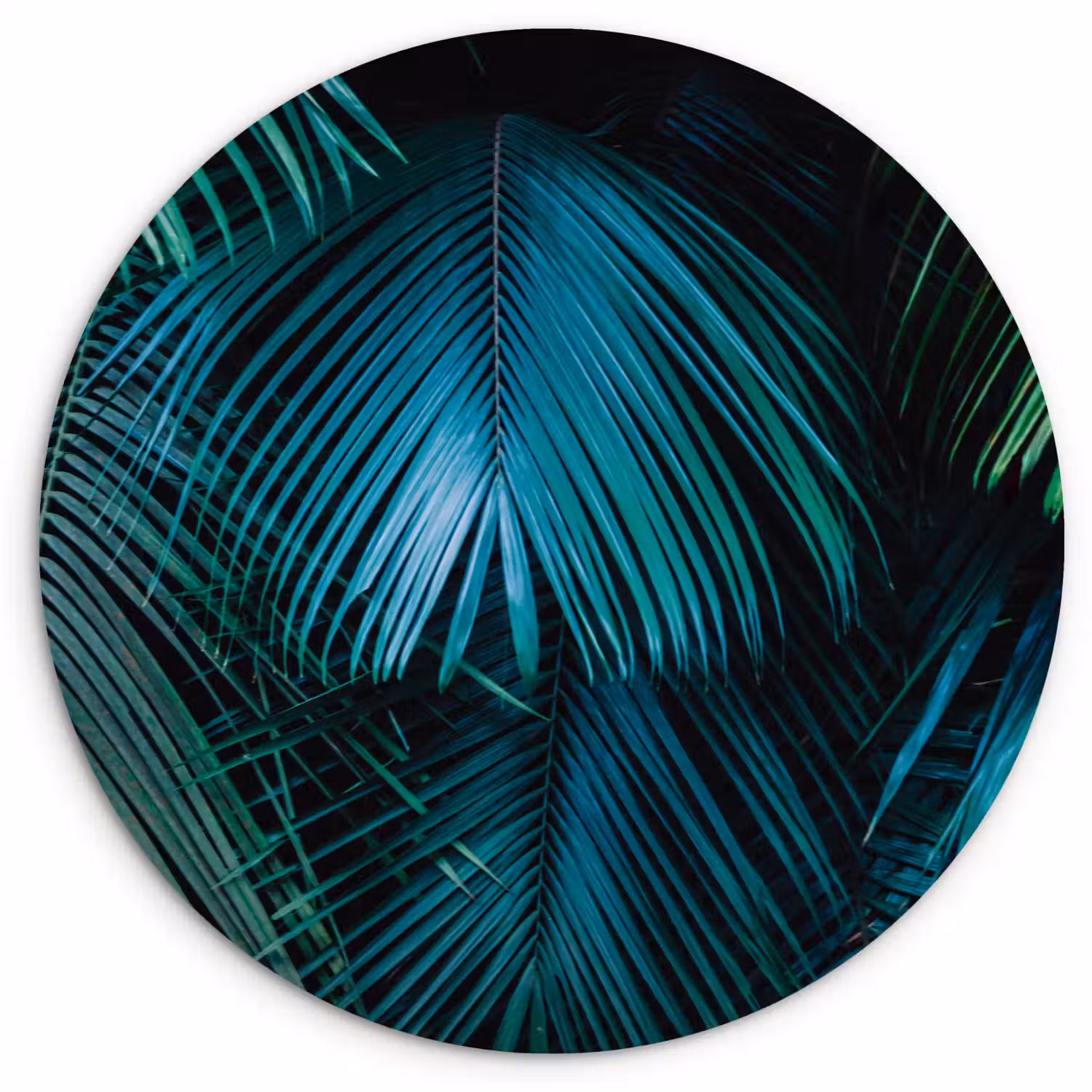 Inductie beschermer - Inductie afdekplaat - Tropical - Jungle - Bladeren - Groen Wandcirkel kunststof plaat 5mm dik klein -3d