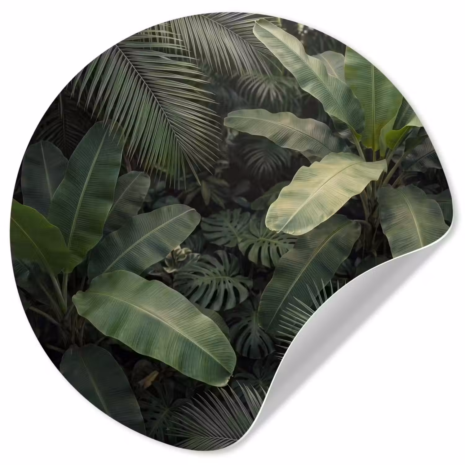 Bladeren - Groen - Tropisch - Natuur Wandcirkel behangsticker klein -3d