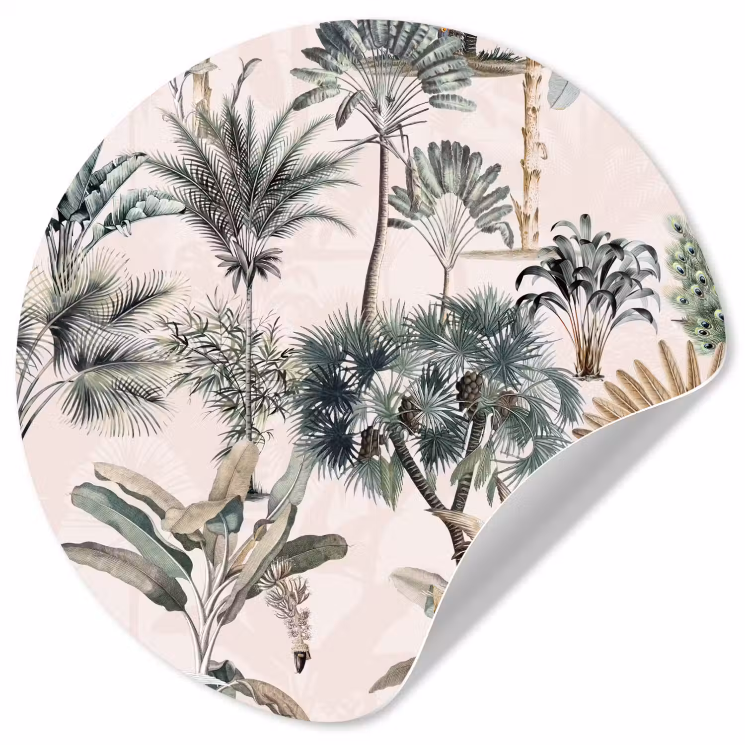 Bladeren - Monstera - Jungle - Tropical Wandcirkel behangsticker klein -3d