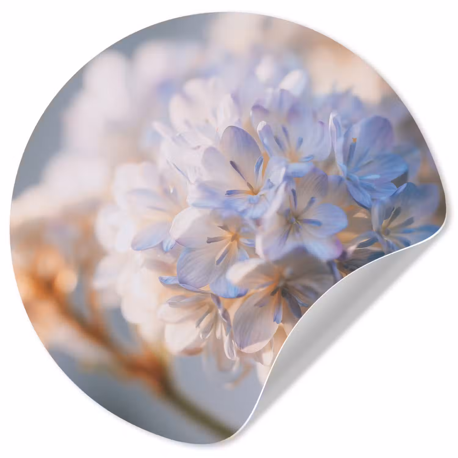 Bloemen - Lichtblauw - Wazig - Trosje Wandcirkel behangsticker klein -3d