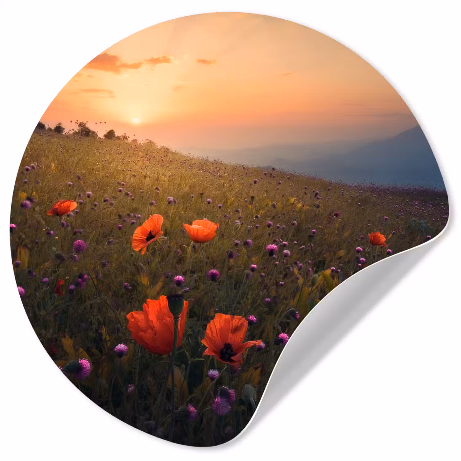 Bloemenveld - Gras - Bloemen - Planten - Zonsondergang - Oranje Wandcirkel behangsticker klein -3d