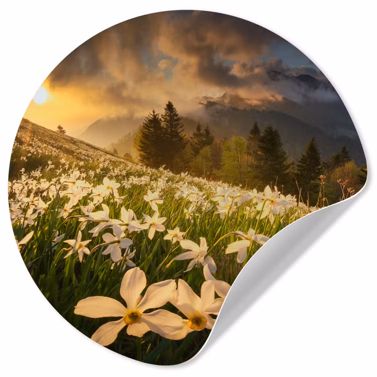 Bloemenveld - Heuvels - Zonsondergang - Berg - Natuur - Wit - Heuvels Wandcirkel behangsticker klein -3d