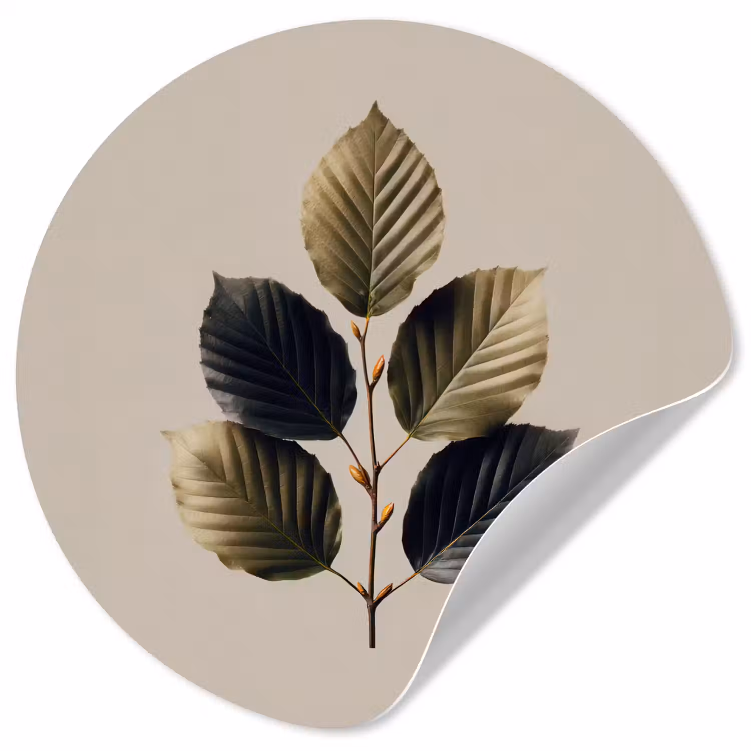 Beukenbladeren - Bruin - Groen - neutraal Wandcirkel behangsticker klein -3d
