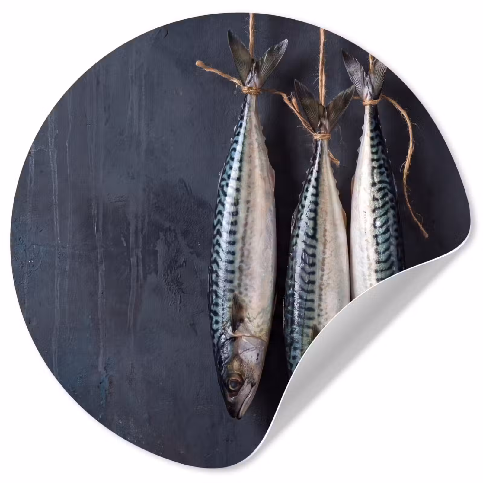 Runde Tapete - Drei Fische – Seil - Drie vissen - Touw Wandcirkel behangsticker klein
