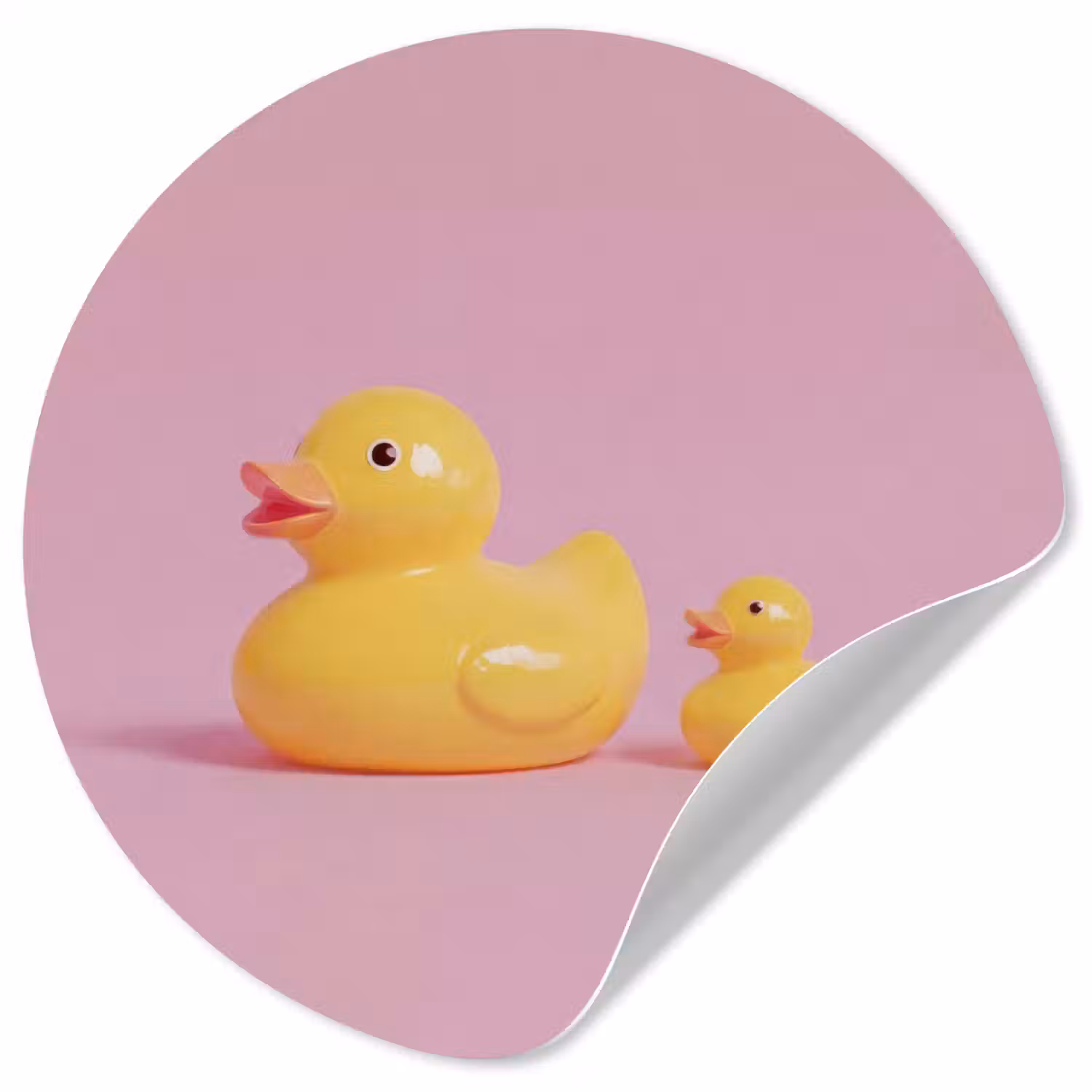 Eendjes - Vrolijk - Roze Wandcirkel behangsticker klein -3d