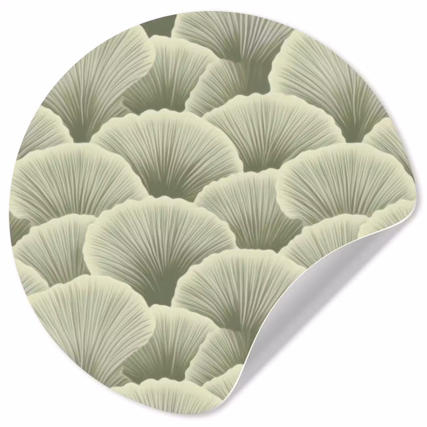 Waaier - Blad - Groen Wandcirkel behangsticker klein 186 -3d