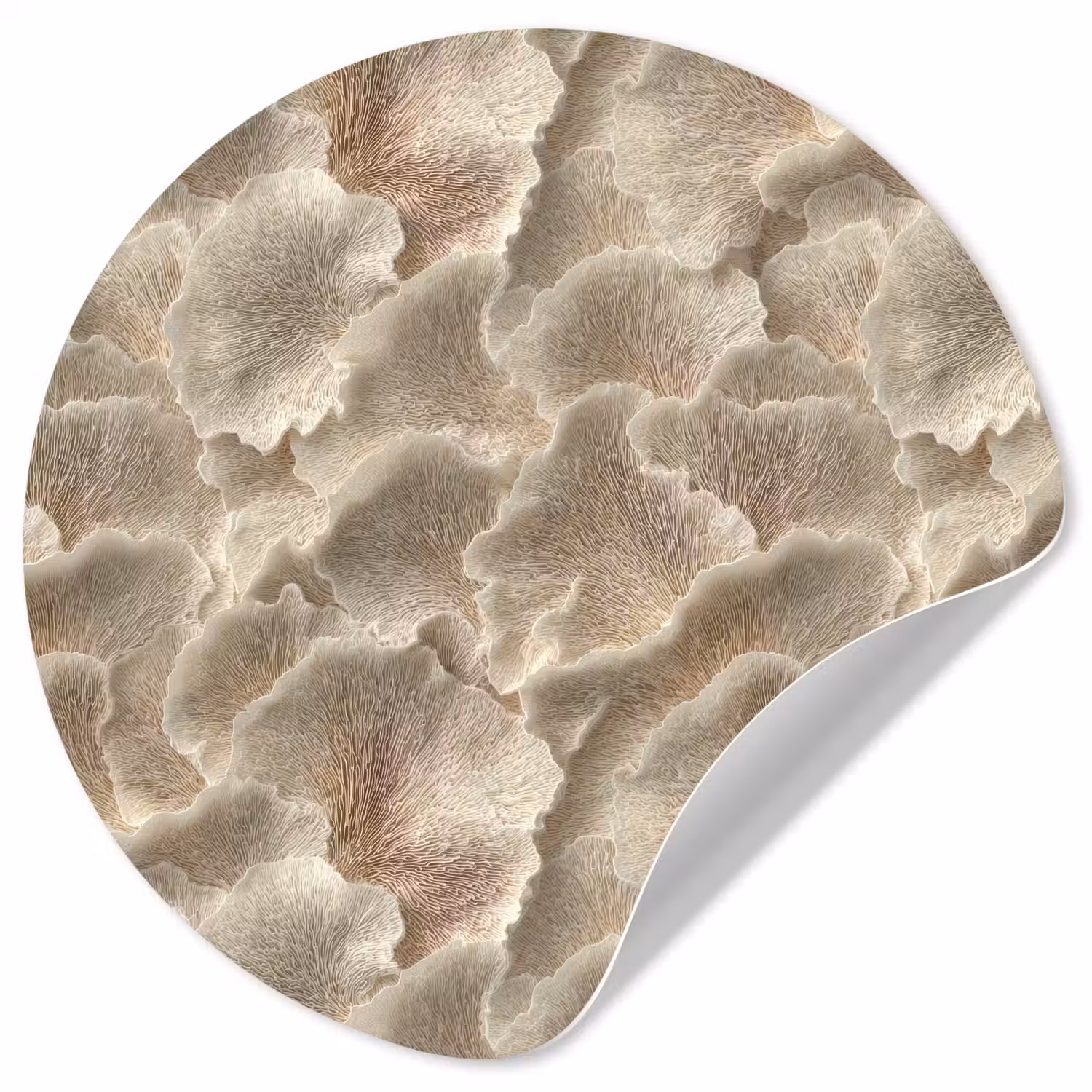 Waaierstructuren - Beige - Vezeltextuur Wandcirkel behangsticker klein 186 -3d