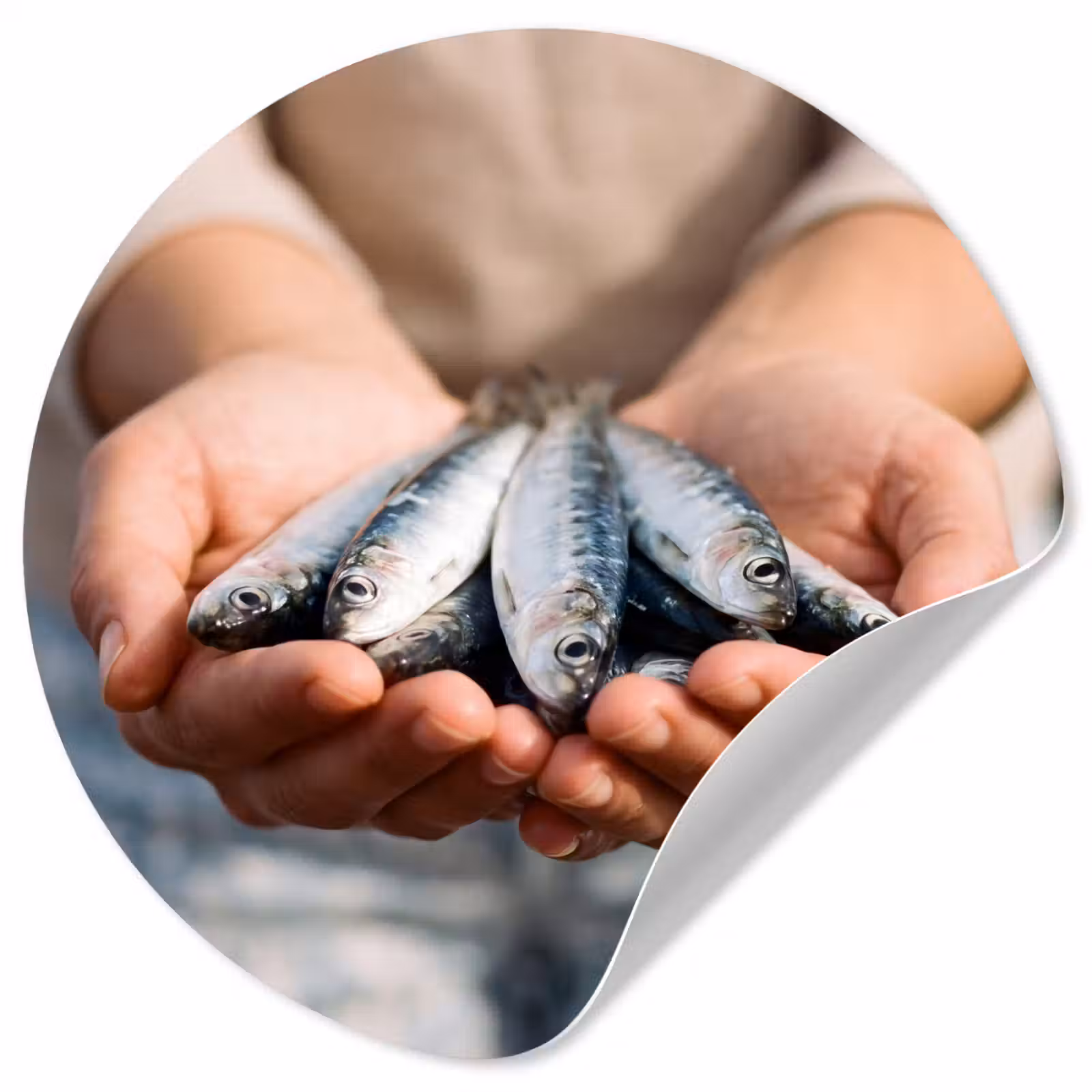 Runde Tapete - Fisch – Hände – Natur - Vis - Handen - Natuur Wandcirkel behangsticker klein