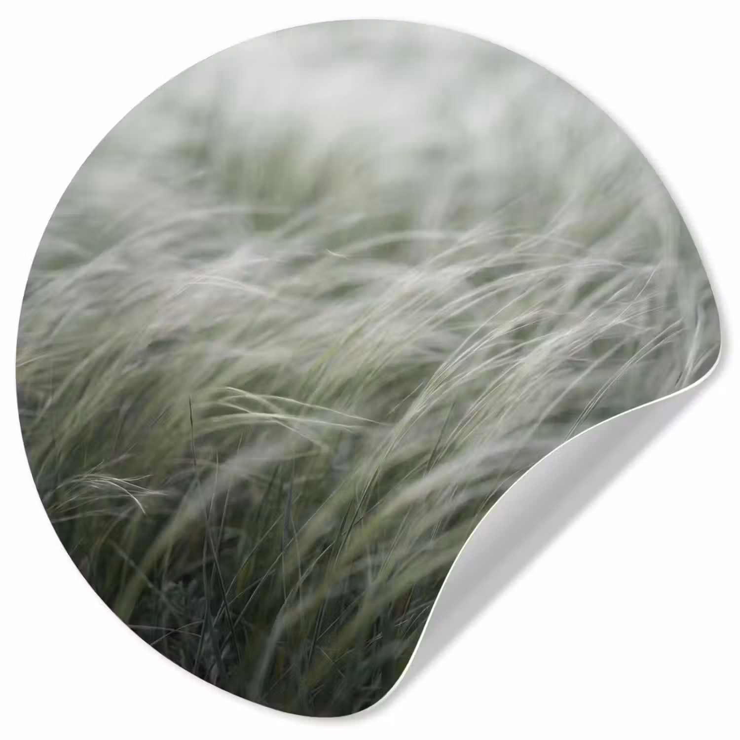 Gras - Wazig - Natuur - Groen - Zacht Wandcirkel behangsticker klein -3d