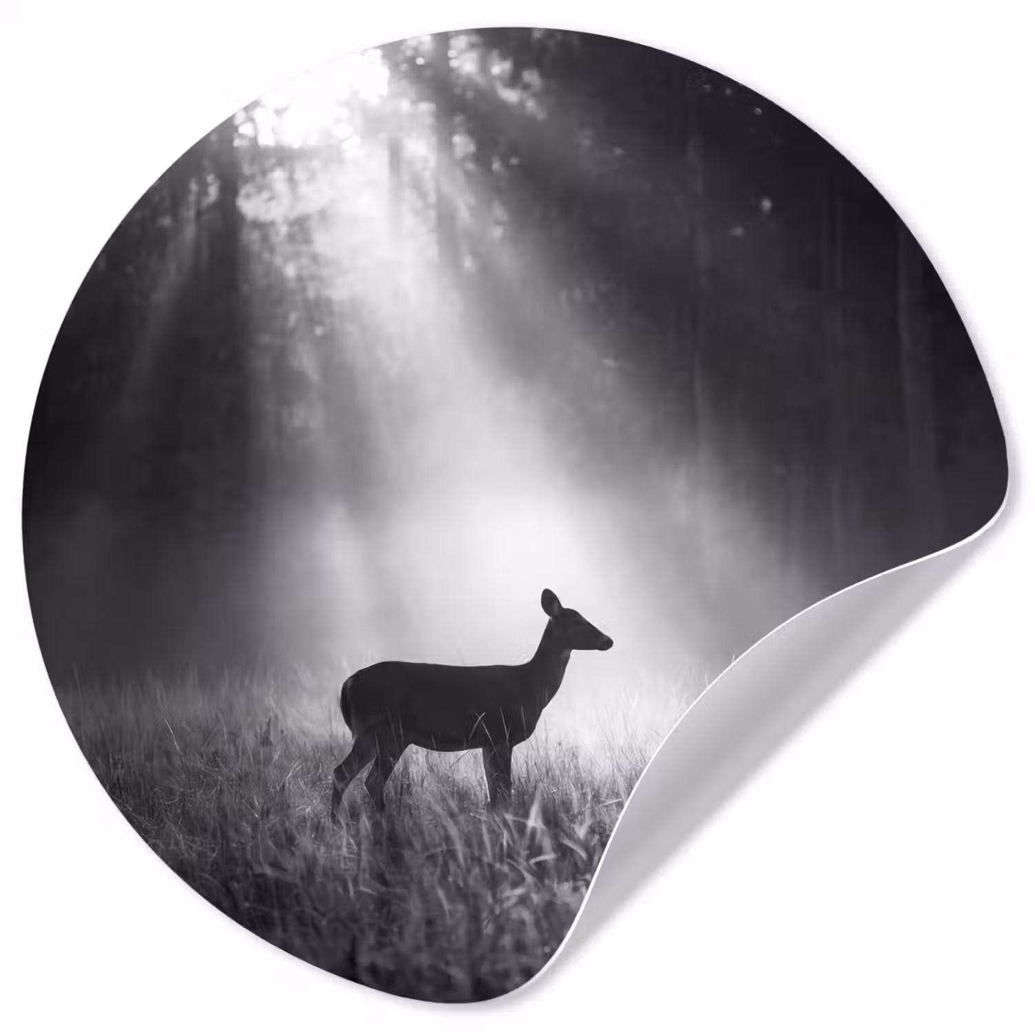 Hert - Bos - Zonnestralen - Zwart-wit - Natuur Wandcirkel behangsticker klein -3d