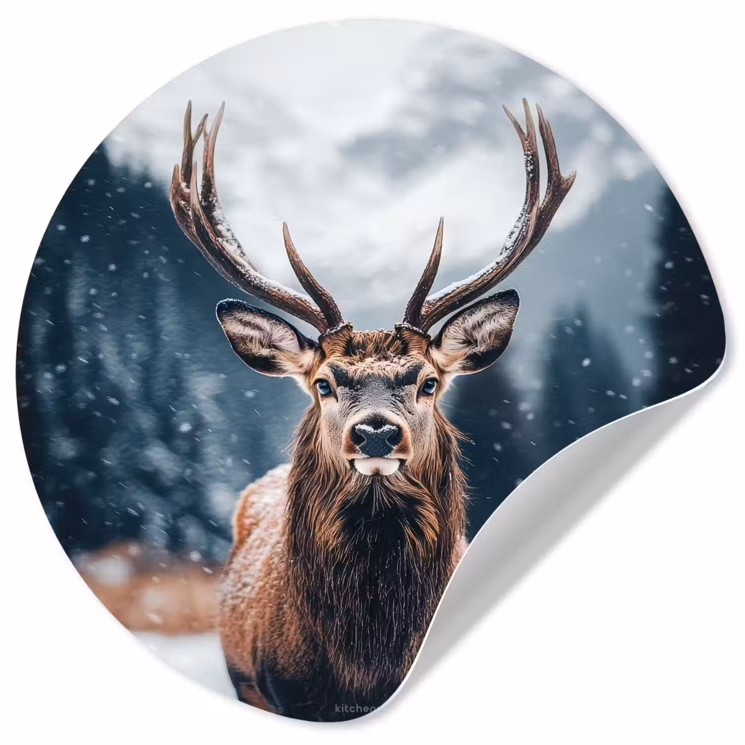 Hert - Winter - Hertenkop - Sneeuw - Gewei Wandcirkel behangsticker klein -3d
